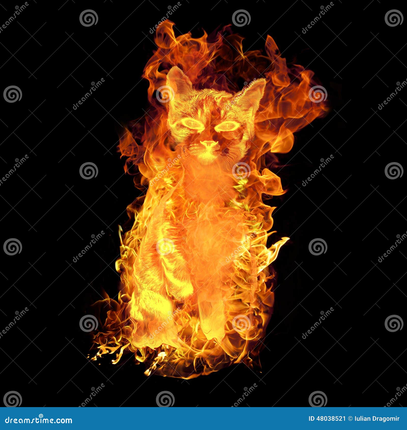 Fire Cat 库存例证 插画包括有危险 火焰 似猫 燃烧 被证章的 烧伤 猫咪 平均值