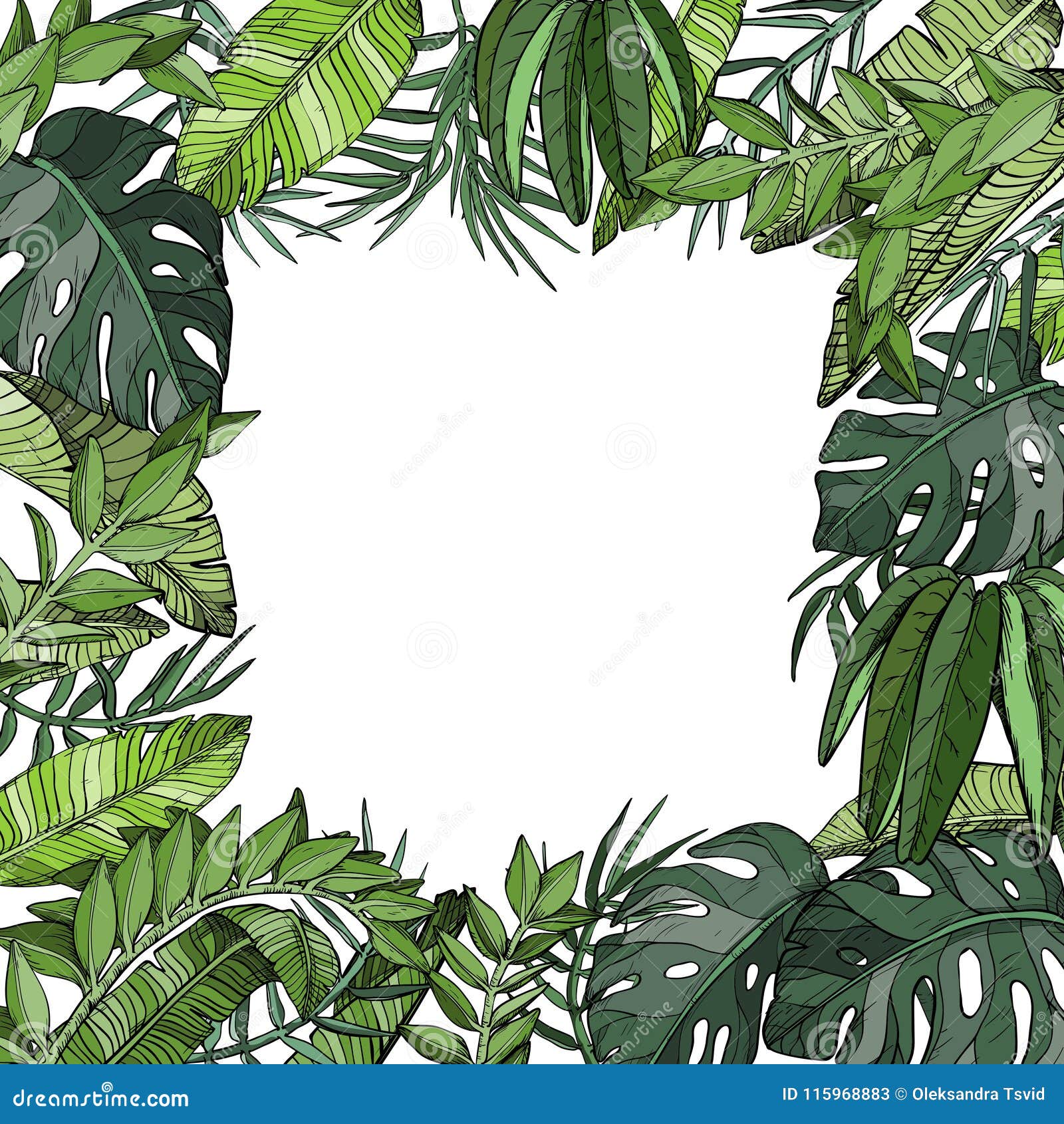 热带棕榈叶背景 密林植物向量例证 插画包括有