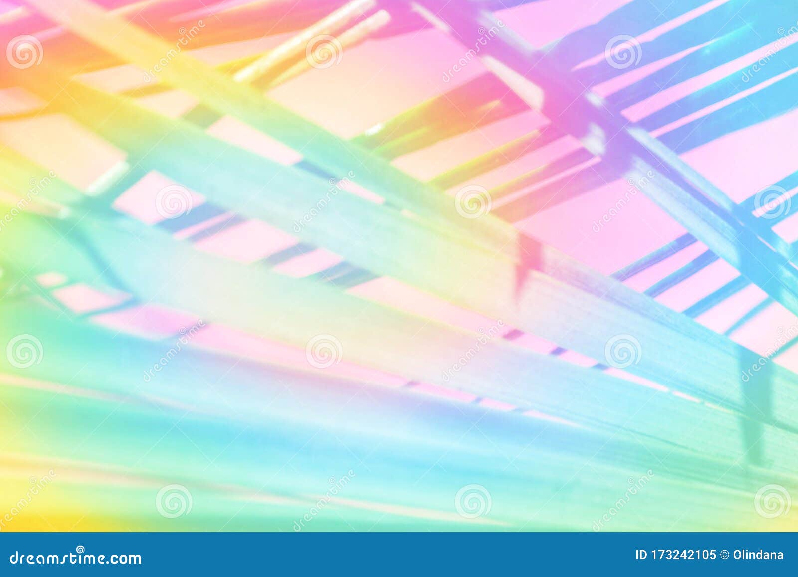 热带自然植物背景霓虹彩彩色交织棕榈叶库存图片 图片包括有创造性 海报 夏天 火箭筒 梯度