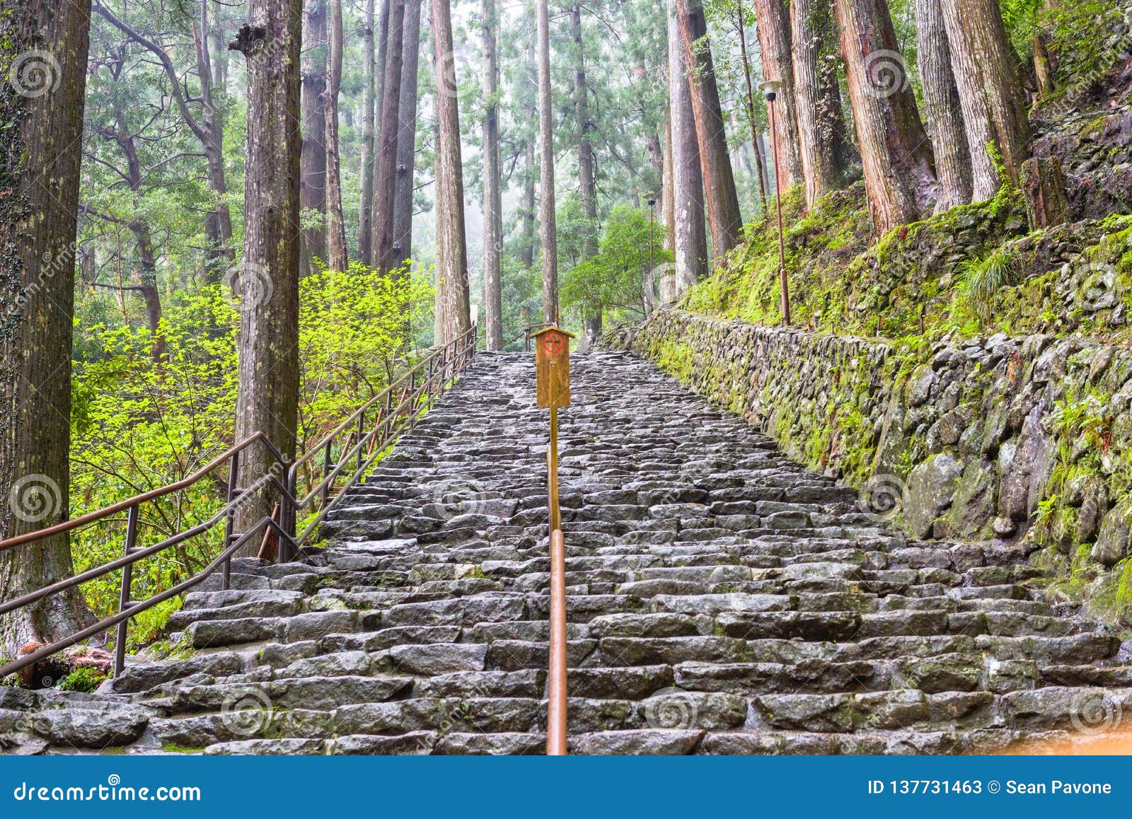 熊野古道足迹 一串神圣的足迹在nachi 日本库存图片 图片包括有步骤 通路 台阶 结构树
