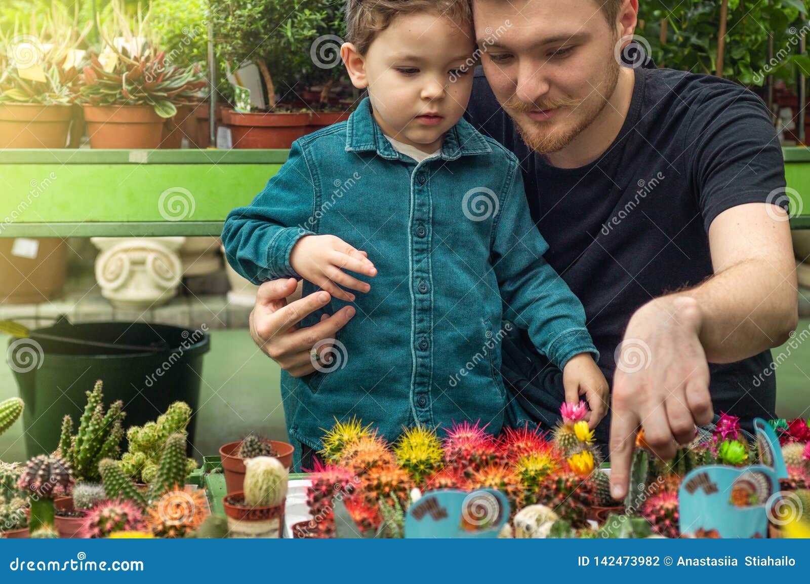 父亲和她的男婴在看仙人掌的植物商店从事园艺自温室植物园 花种田库存照片 图片包括有