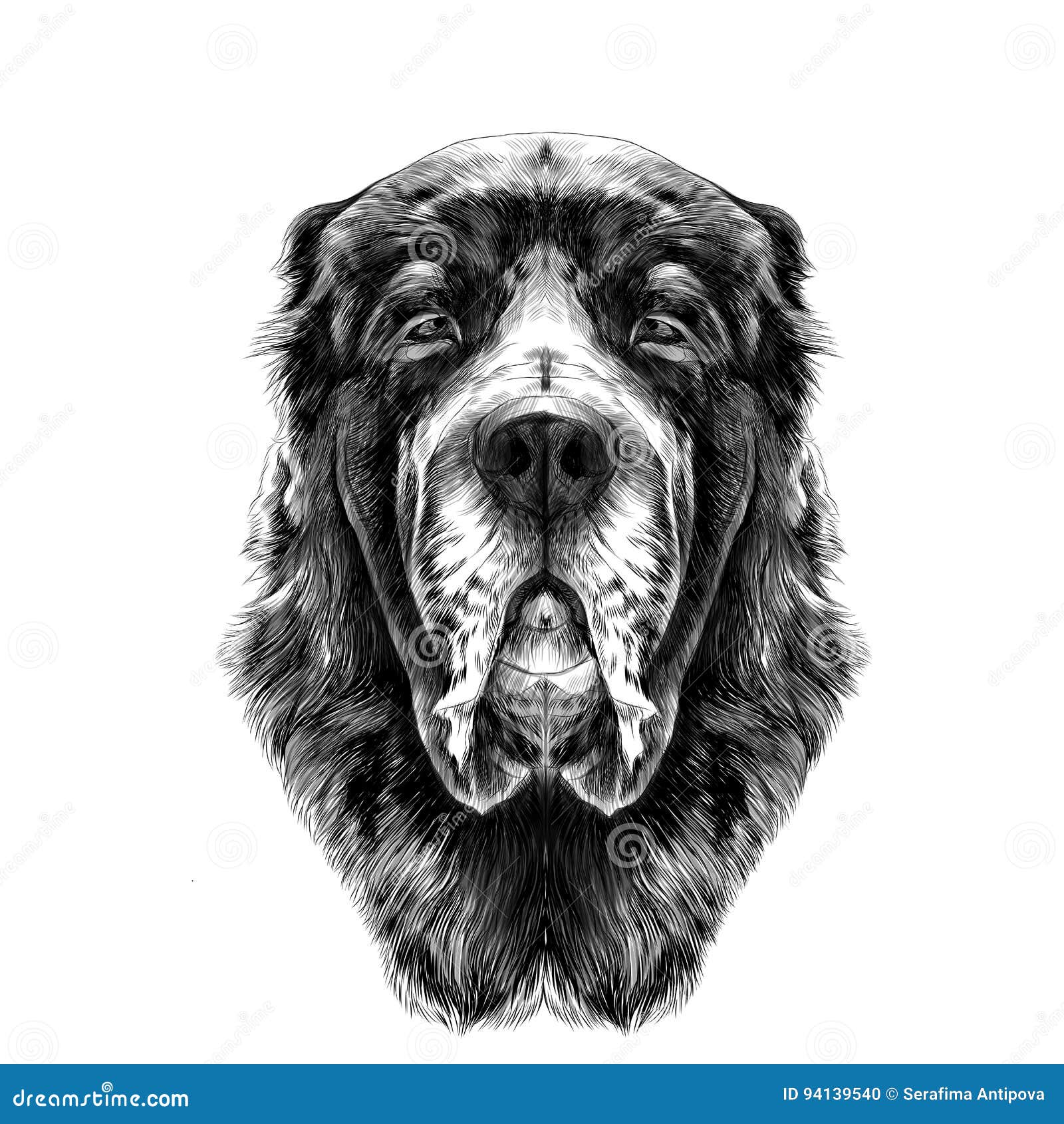 狗 S头品种alabai或中亚牧羊犬剪影向量图形向量例证 插画包括有 狗 S头品种alabai或中亚牧羊犬剪影向量图形向量例证 插画包括有