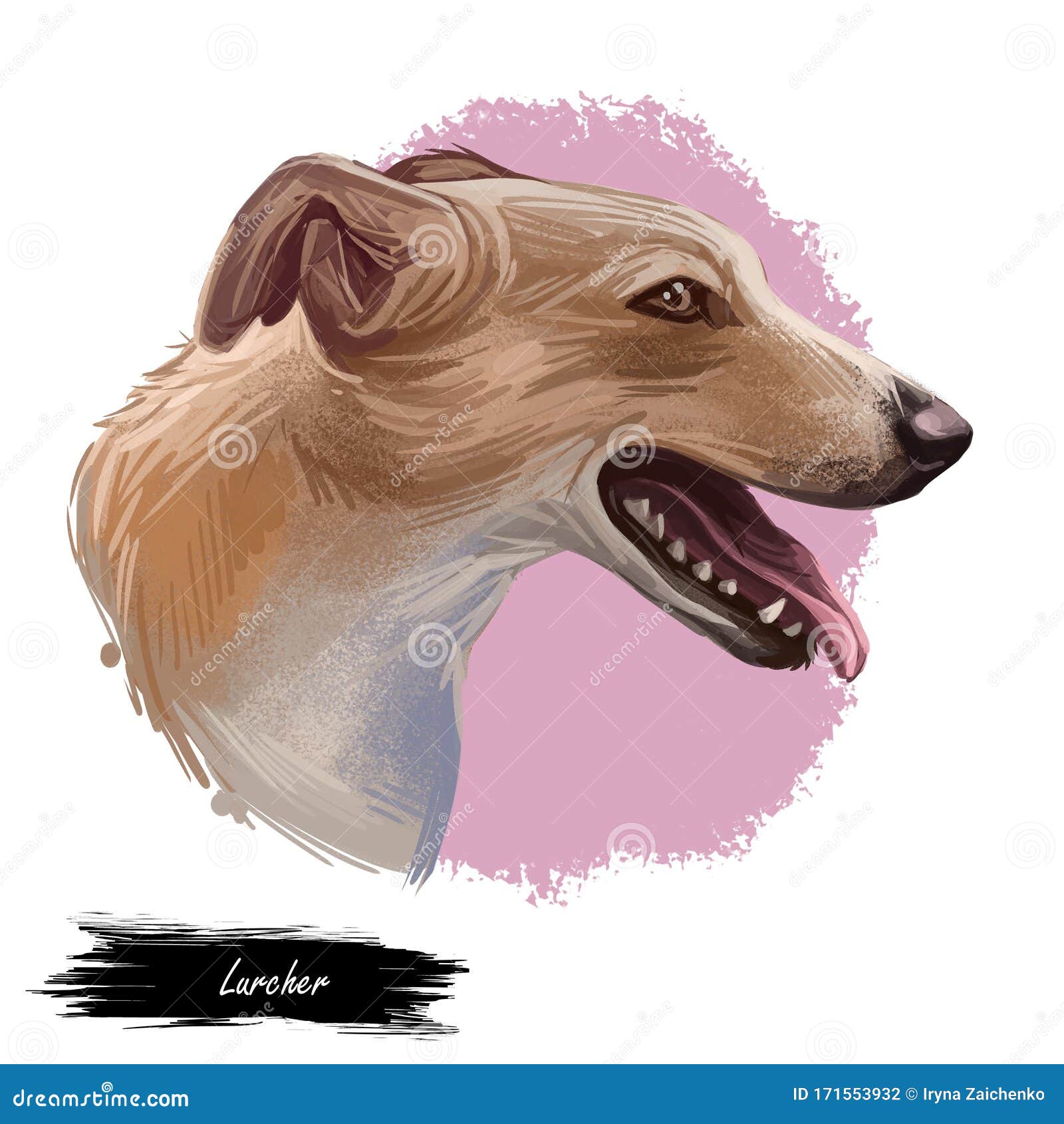 猎犬惊魂犬是与牧草品种或梗犬交配的幼犬 数字艺术对可爱犬类动物的阐释布朗库存例证 插画包括有似犬 混杂