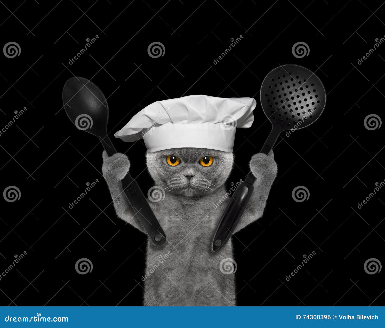 Кот в поварском колпаке