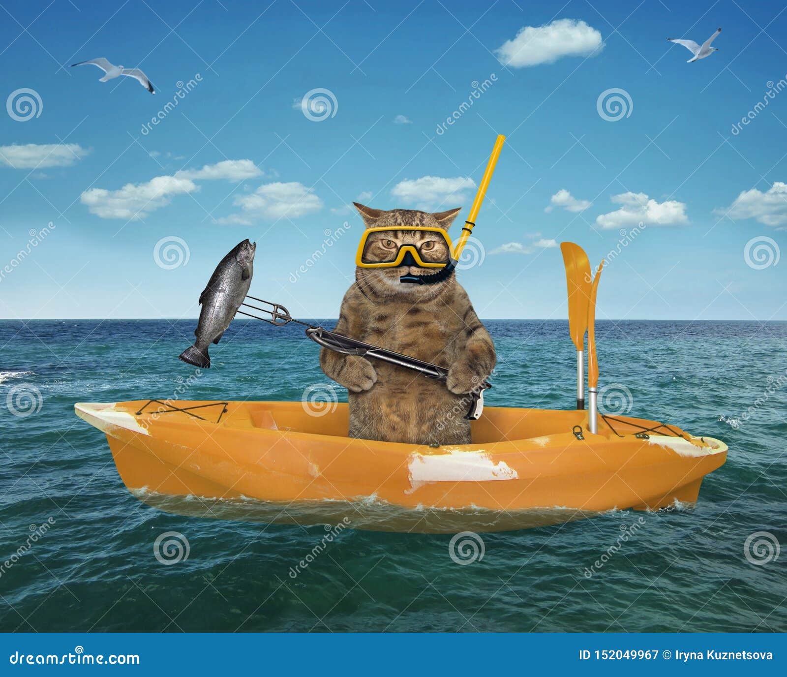 猫在一条黄色小船的水中猎人库存图片 图片包括有极其 冒险家 海运 敌意 节假日 渔夫