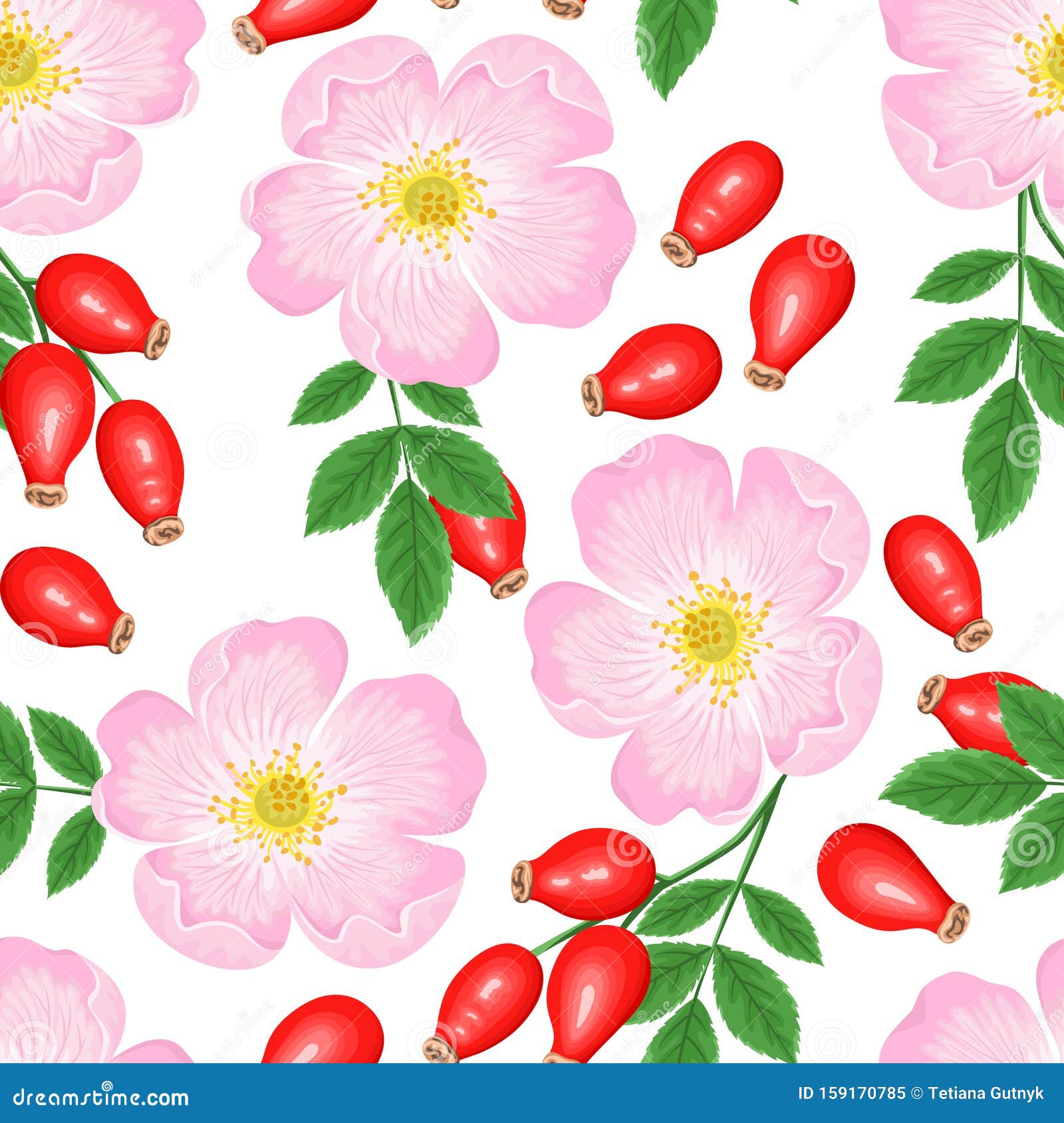 玫瑰花无缝图案白色背景中突显的粉色花 红浆果和绿叶狗蔷薇的矢量图插图向量例证 插画包括有