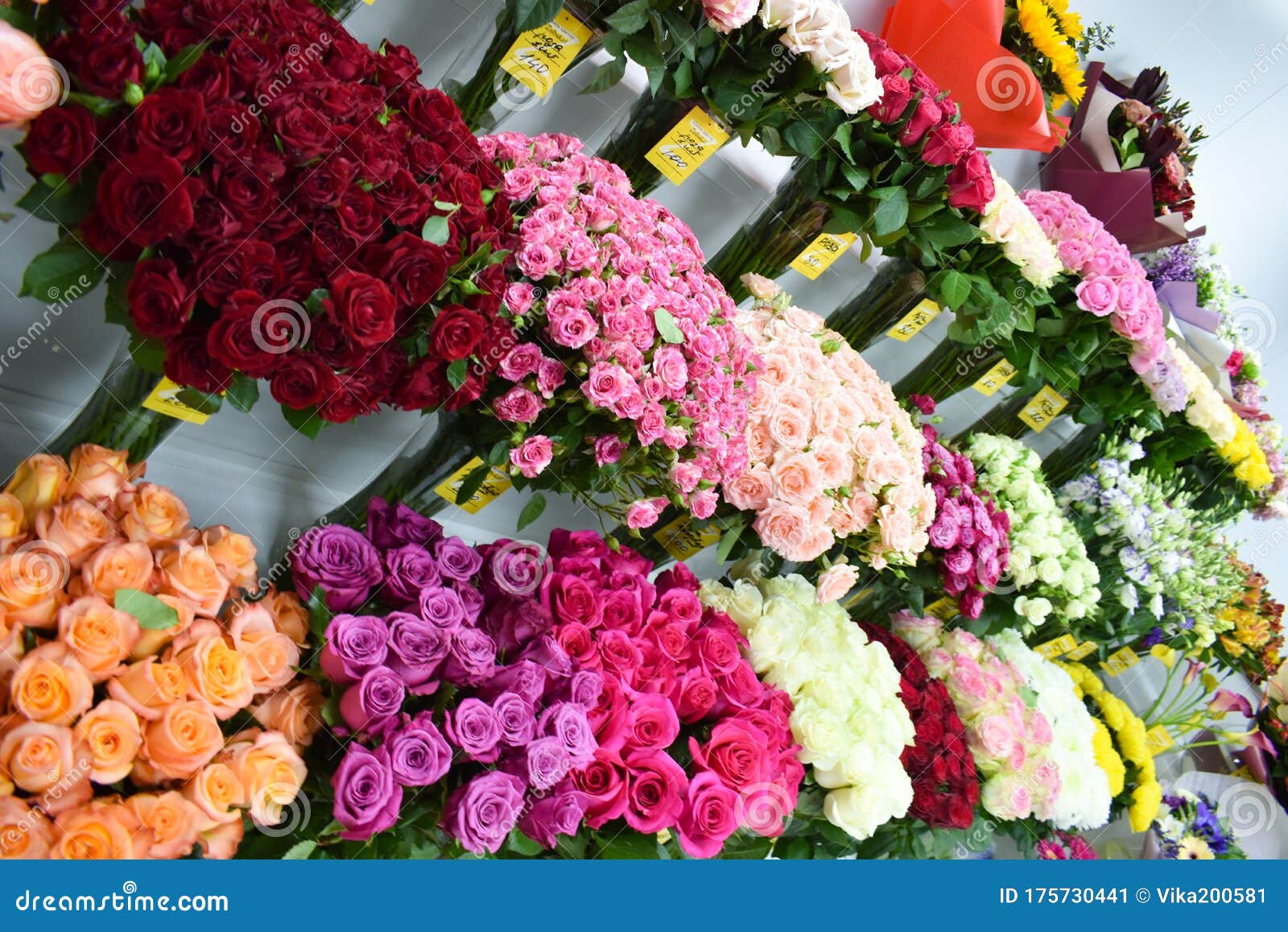 玫瑰花束带花瓶的内色花业母亲节的花编辑类照片 图片包括有零售 开花的 许多 礼品 五颜六色