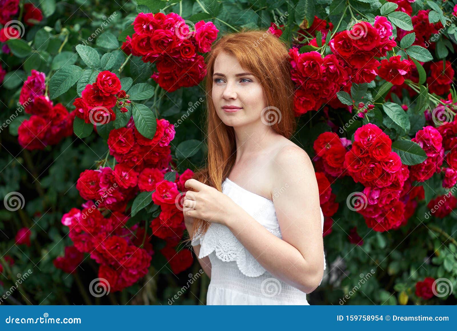 玫瑰花盛开背景中一个漂亮红发女孩的画像户外库存照片 图片包括有