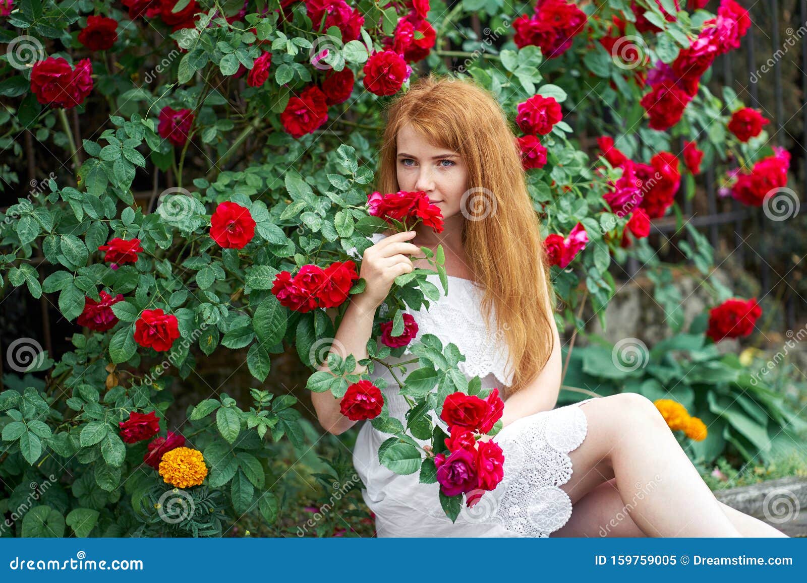 玫瑰花盛开背景中一个漂亮红发女孩的画像户外库存图片 图片包括有户外 玫瑰花盛开背景中一个漂亮红发女孩的画像