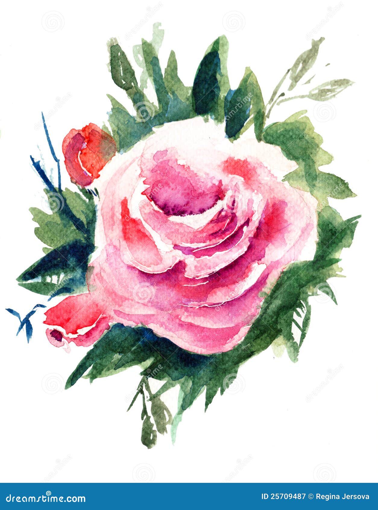 玫瑰花 水彩绘画库存例证 插画包括有 玫瑰花 水彩绘画库存例证 插画包括有