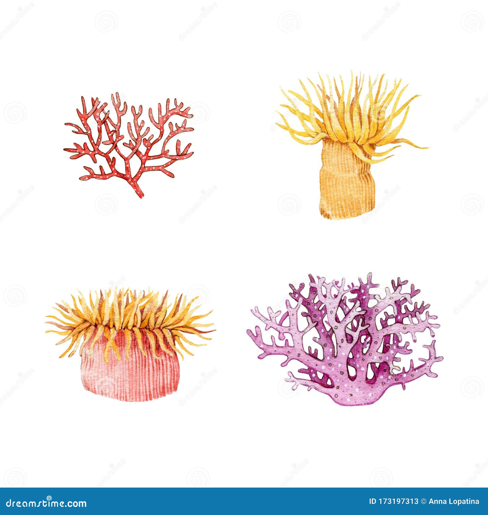 珊瑚仙人掌水彩画像集手绘美丽珊瑚和海葵色彩缤纷的热带海生库存例证 插画包括有敌意 生活