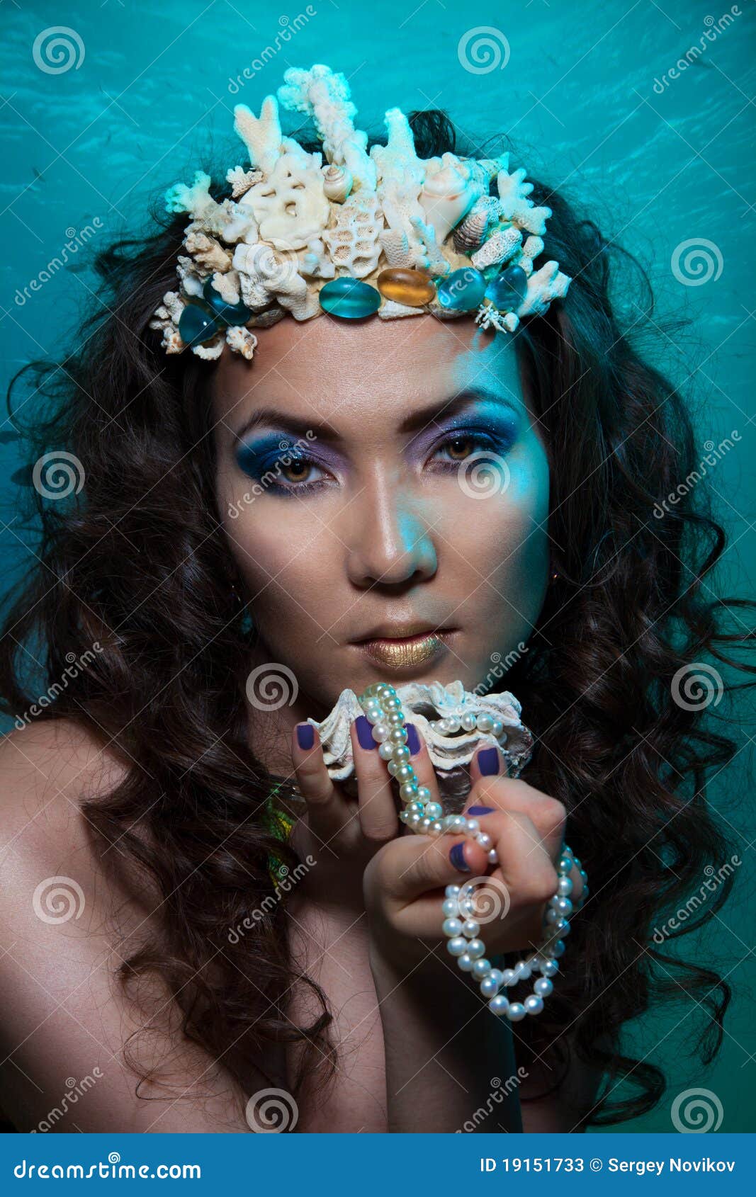 珊瑚冠美人鱼库存图片 图片包括有 珊瑚冠美人鱼库存图片 图片包括有