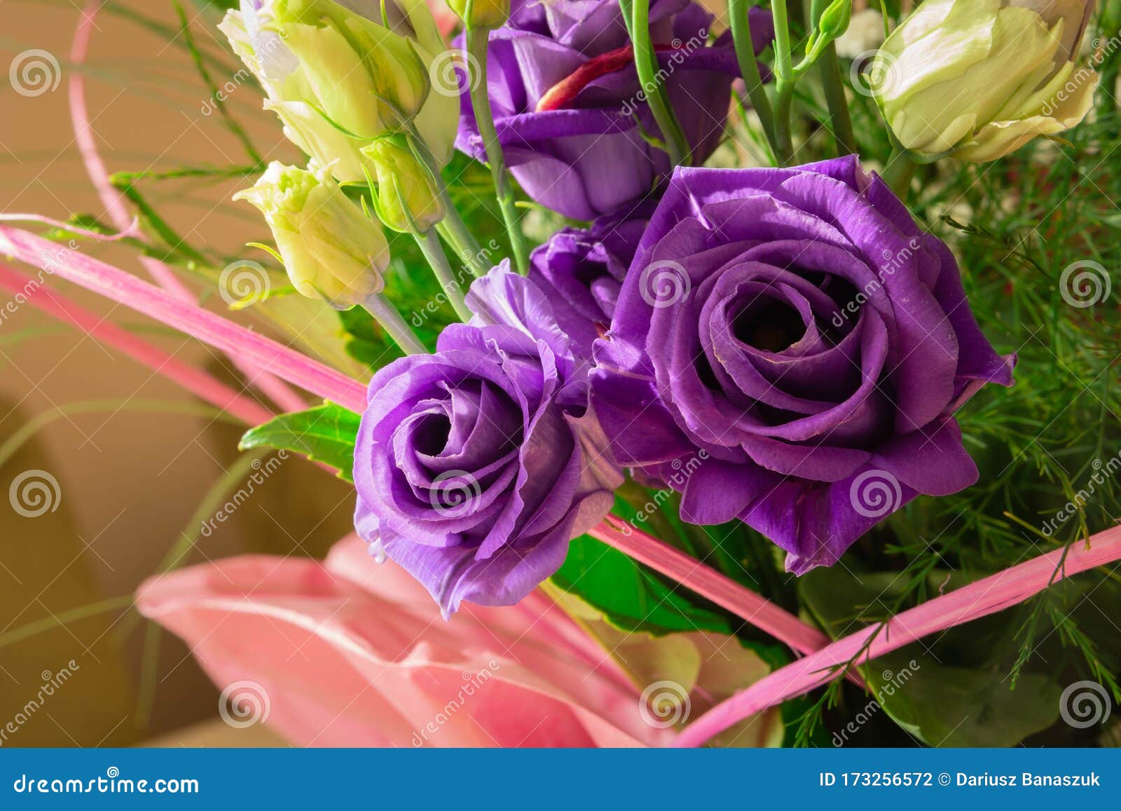 生日花束中美丽的紫玫瑰与其他花 特写库存照片 图片包括有装饰 花卉 构成 开花的 花束