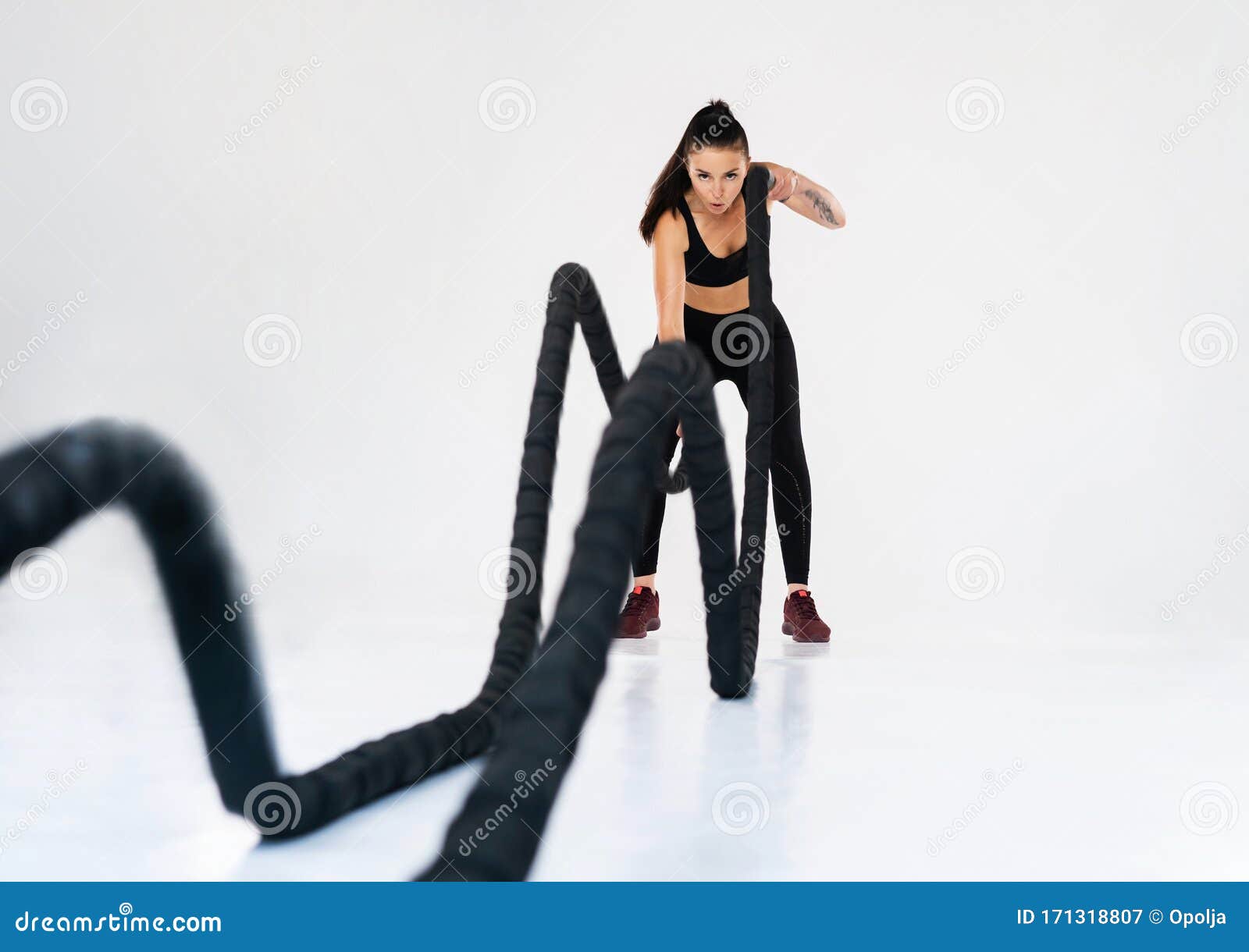 用战绳练习的女子白色背景中运动服装肌肉模特照库存图片 图片包括有爱好健美者 运动员 理想 用战绳练习的女子白色背景中运动服装肌肉模特照库存图片 图片包括有爱好健美者 运动员 理想