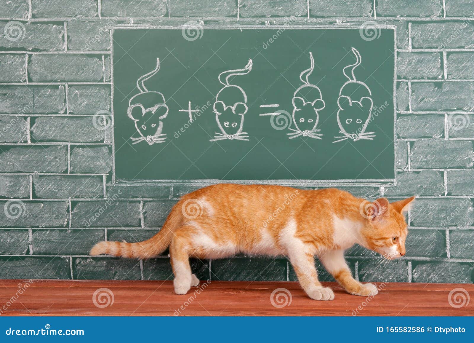 用数学例子研究狩猎科学的红猫教育笑话库存照片 图片包括有艺术 智能 男朋友 代数 童年