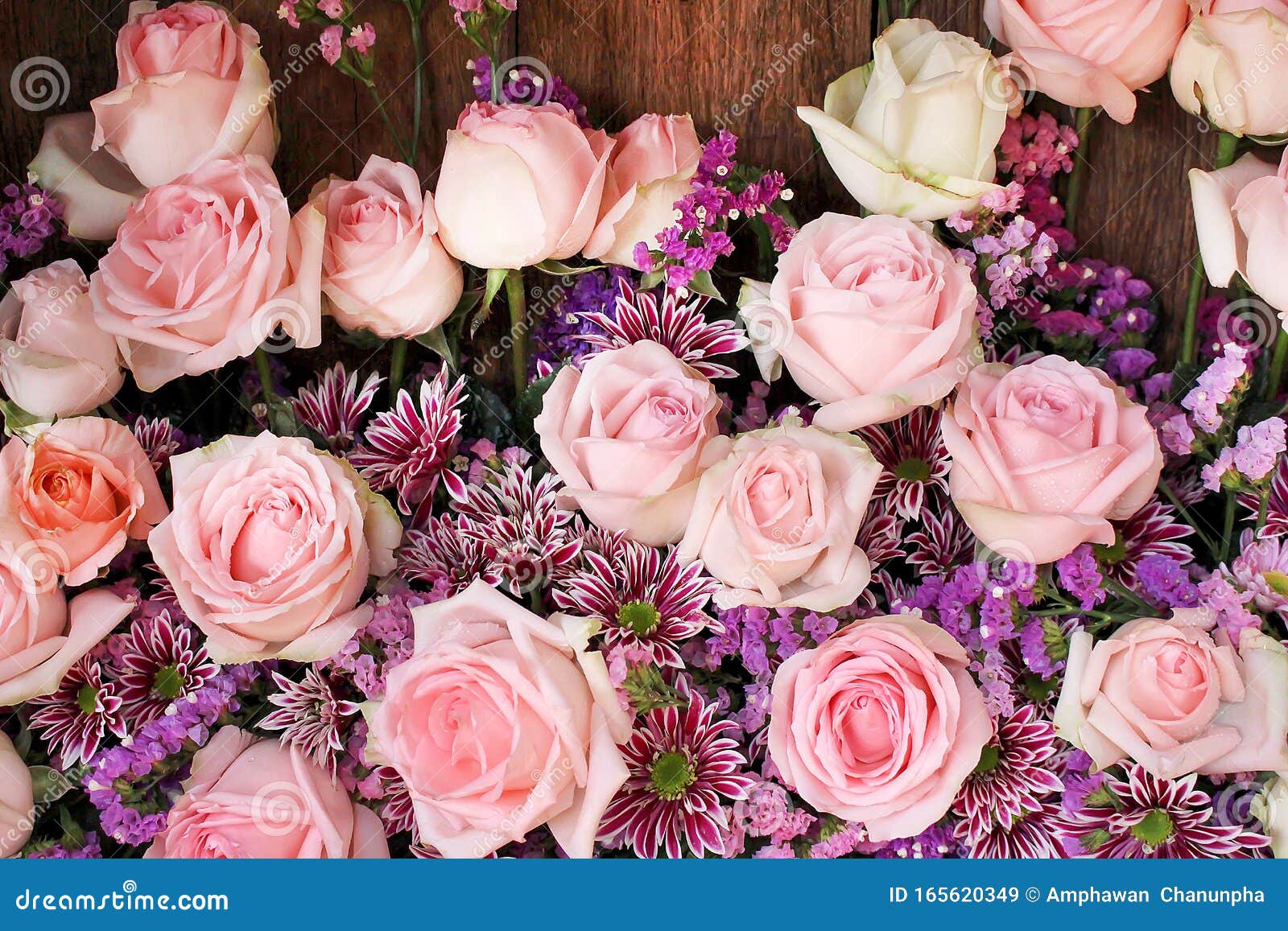用水滴背景绽放的粉色玫瑰花束图案 用于壁纸情人节或结婚卡背景库存图片 图片包括有礼品 看板卡