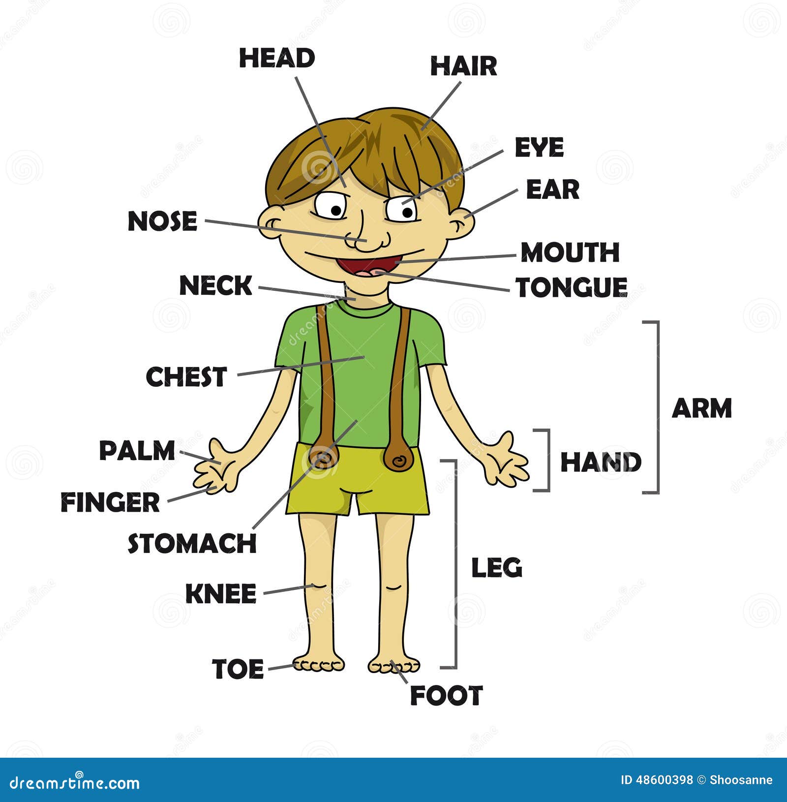 男孩 身体部位 传染媒介向量例证 插画包括有传记 眼睛 英语 医疗