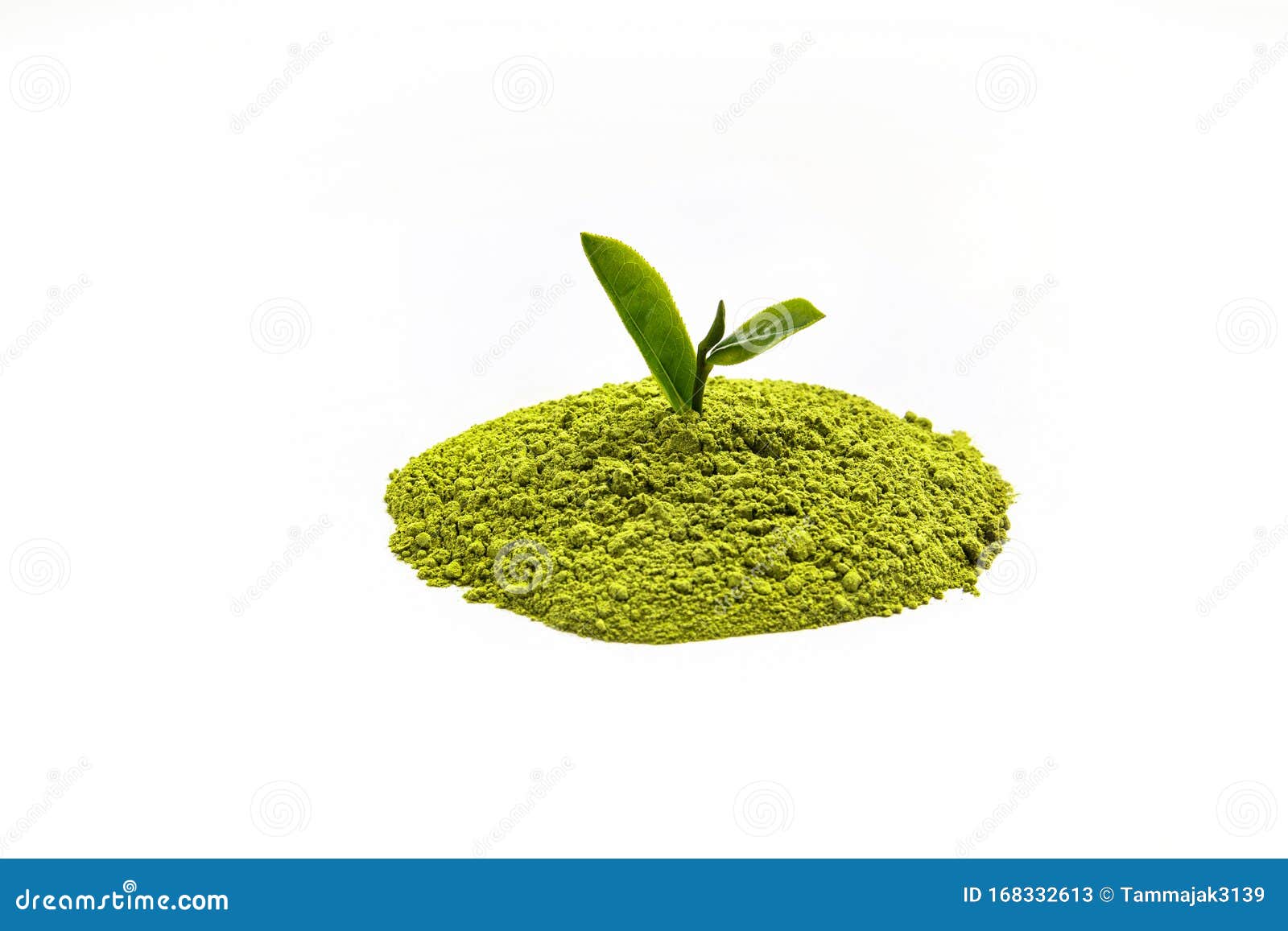 白地背景提取绿茶粉堆上面有迷你绿茶叶库存图片 图片包括有上面有迷你绿茶叶 白地背景提取绿茶粉堆 白地背景提取绿茶粉堆上面有迷你绿茶叶库存图片 图片包括有上面有迷你绿茶叶 白地背景提取绿茶粉堆