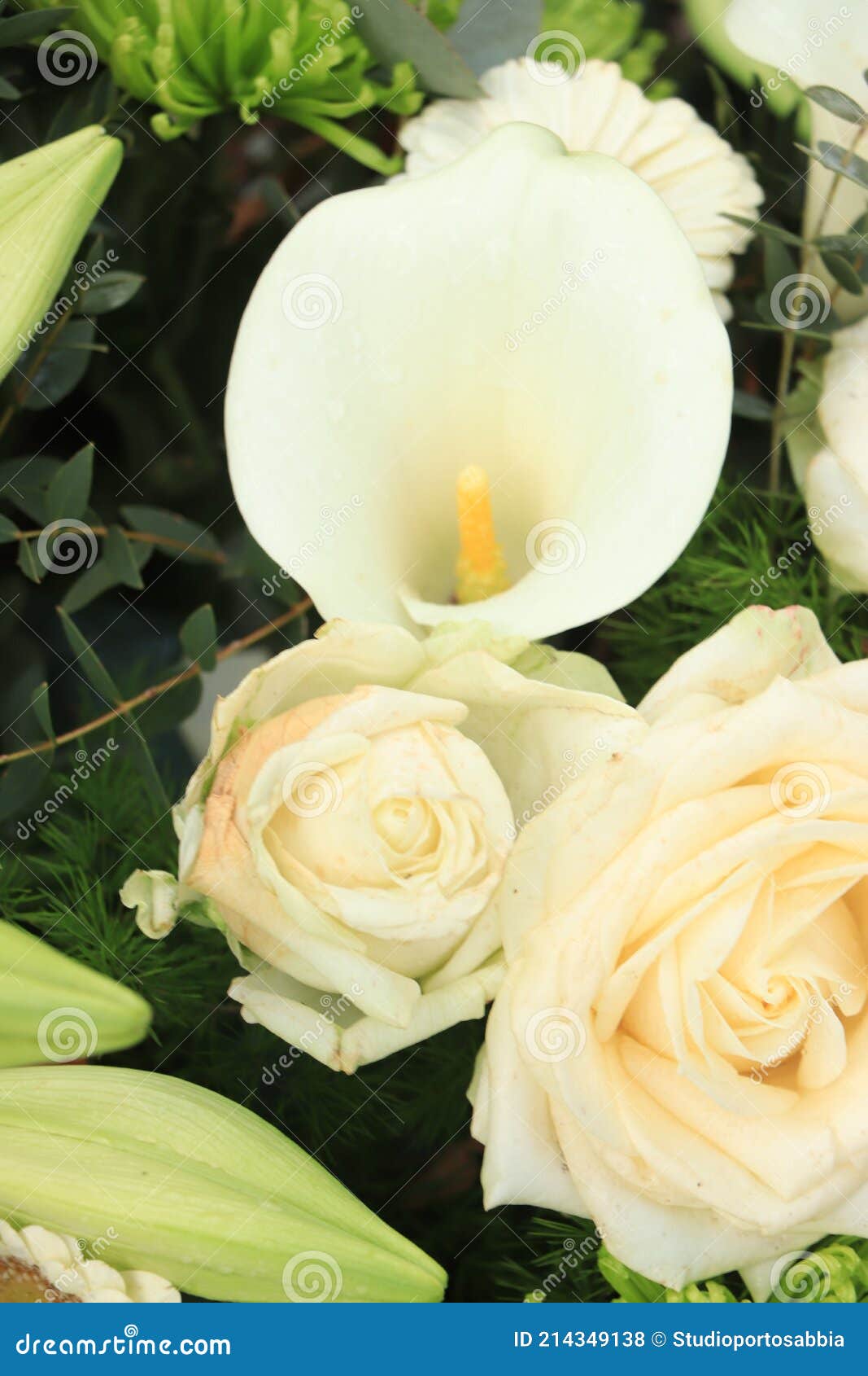 白海芋花排列库存照片 图片包括有颜色 春天 夏天 花瓣 花束 概念 卖花人 装饰