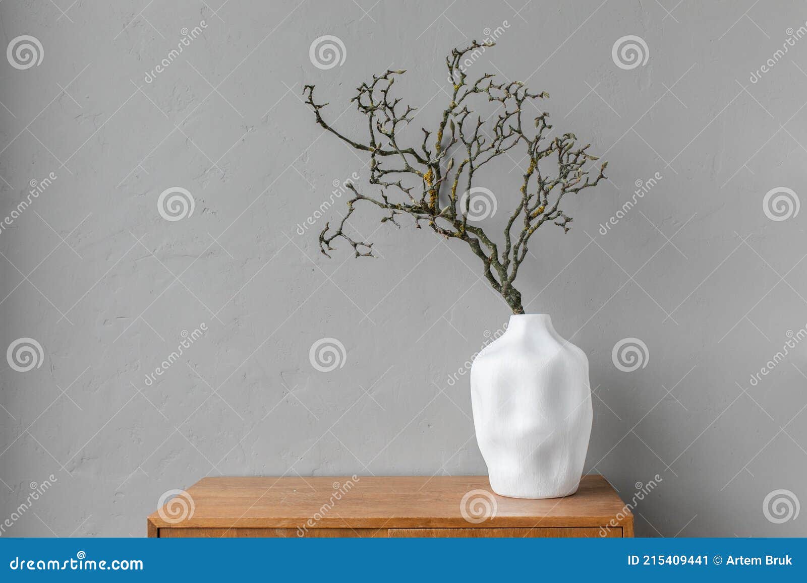 白瓷花瓶干木枝生命组合物 库存图片 图片包括有构成 生活 自然 居住 启发 极简主义 白瓷花瓶干木枝生命组合物 库存图片 图片包括有构成 生活 自然 居住 启发 极简主义