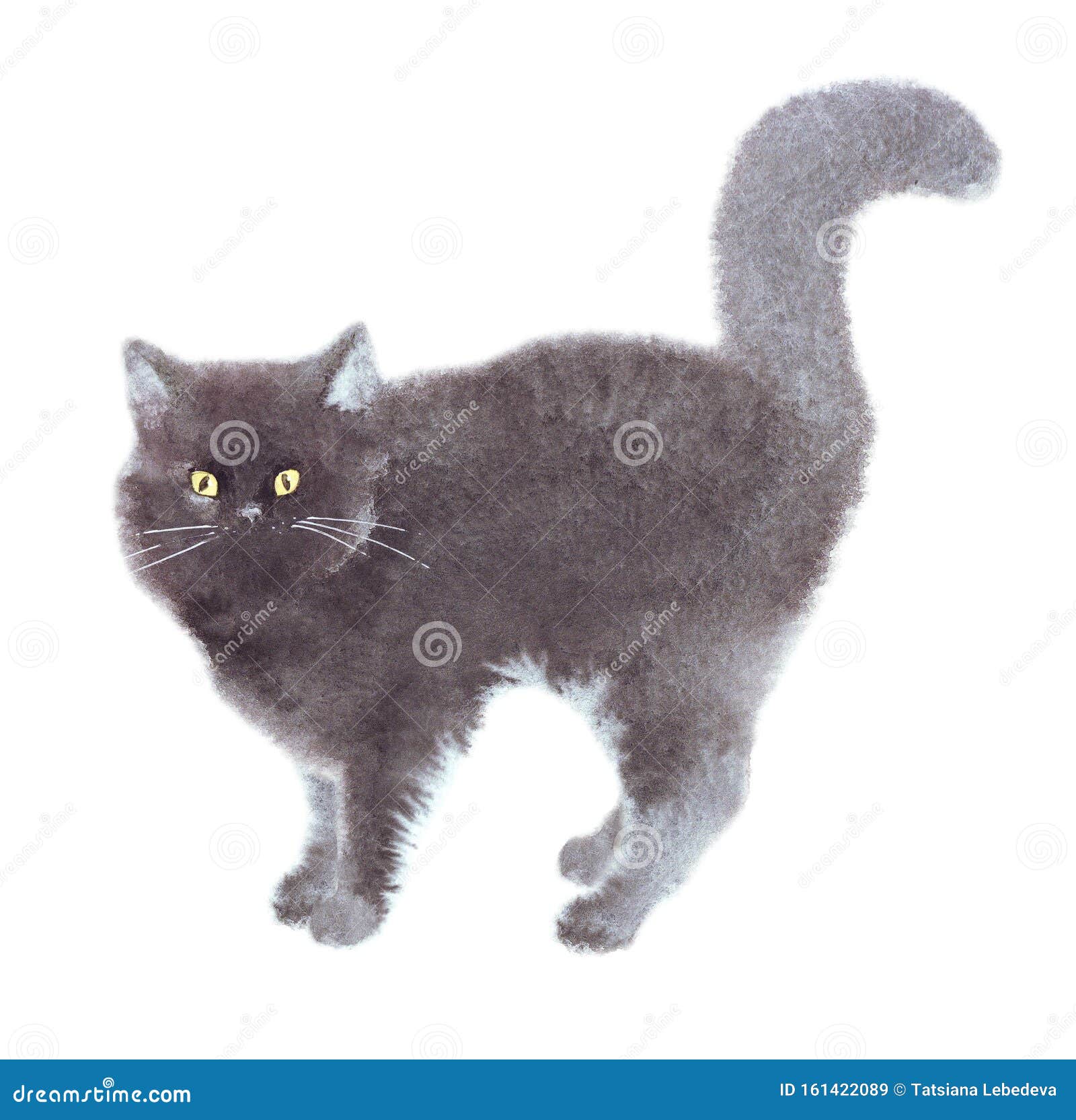 白背景上手绘水彩可爱滑稽的黑猫隔离图小猫人物肖像符号库存例证 插画包括有求知欲 男性 白背景上手绘水彩可爱滑稽的黑猫隔离图小猫人物肖像符号库存例证 插画包括有求知欲 男性
