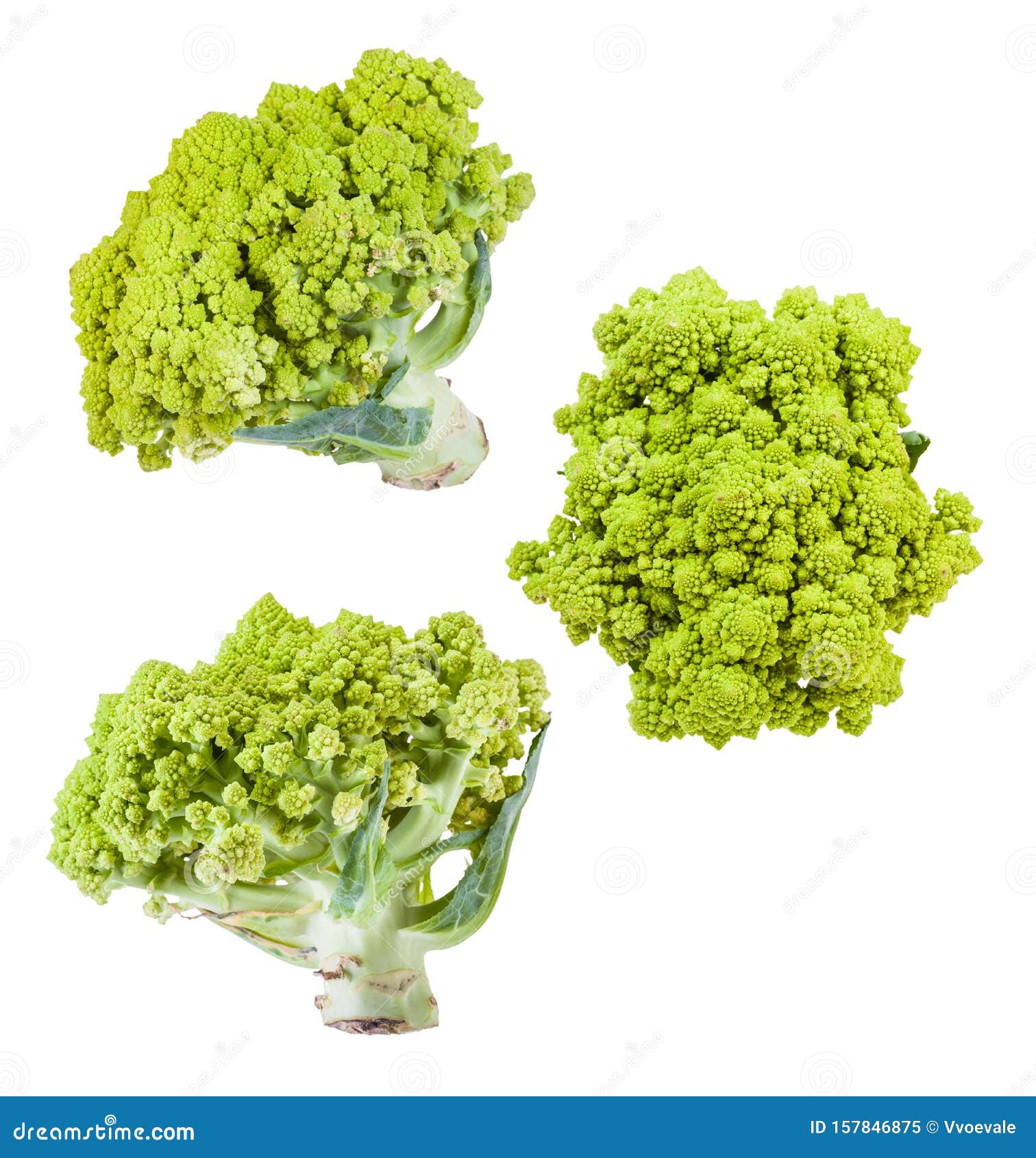 白色分离的几种罗马花椰菜头库存图片 图片包括有 白色分离的几种罗马花椰菜头库存图片 图片包括有