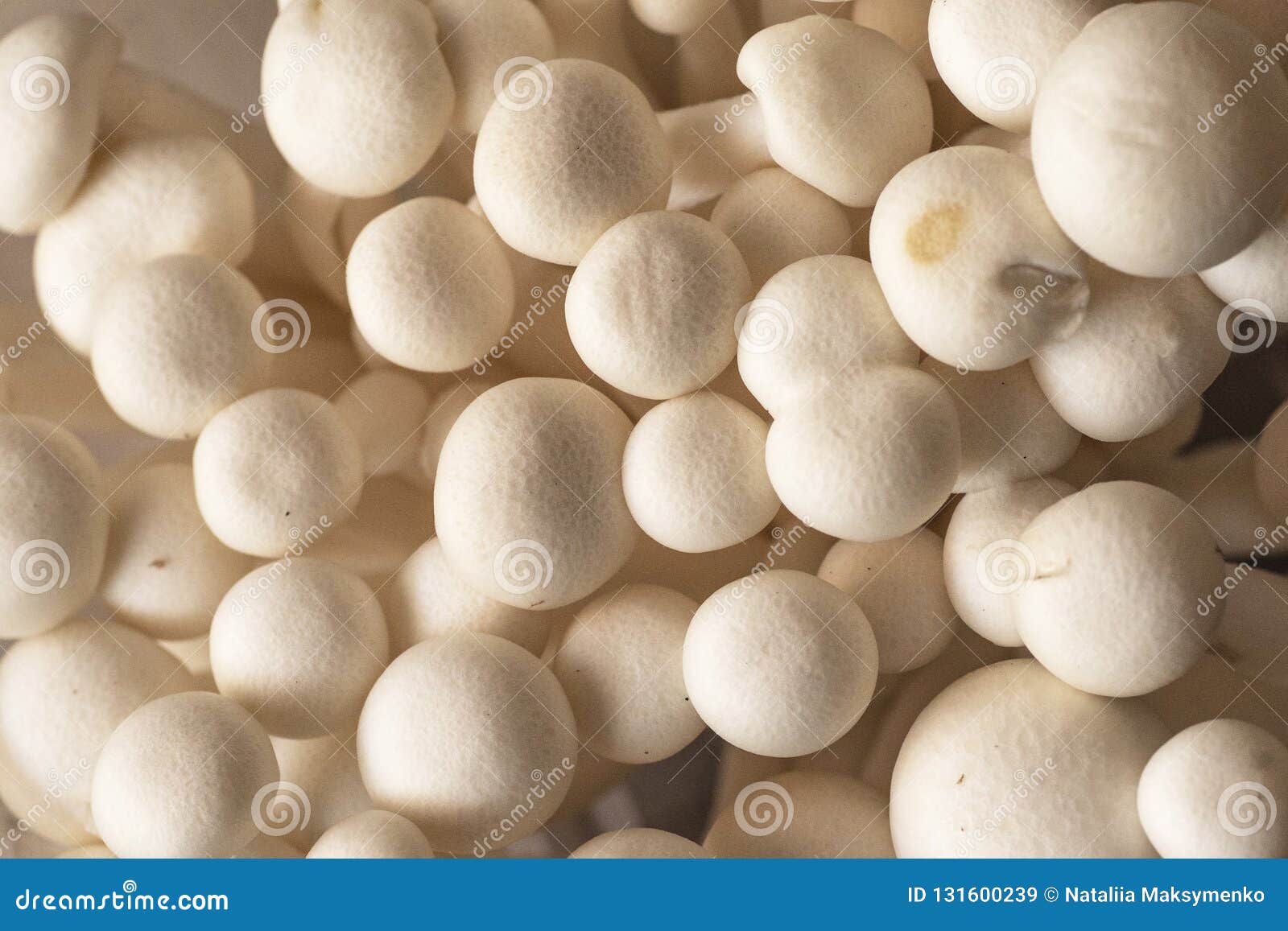 白色山毛榉蘑菇 Shimeji蘑菇蘑菇食物背景shimeji蘑菇白色库存图片 图片包括有 白色山毛榉蘑菇 Shimeji蘑菇蘑菇食物背景shimeji蘑菇白色库存图片 图片包括有