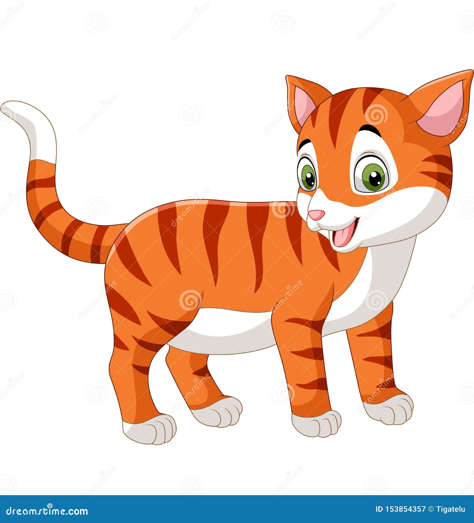 白色背景上的卡通搞笑猫向量例证 插画包括有 白色背景上的卡通搞笑猫向量例证 插画包括有