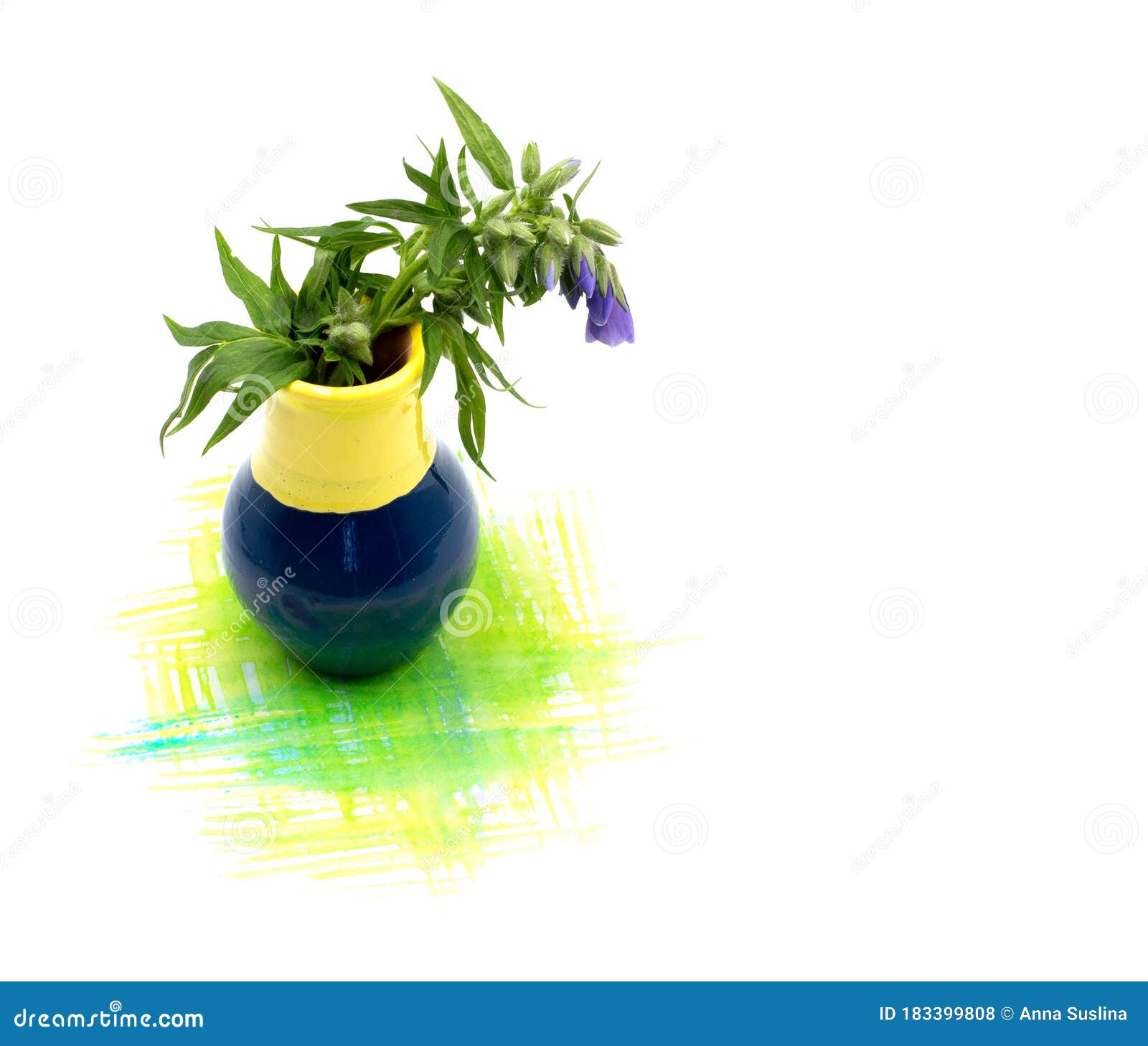 白色背景上突显的小花束手绘水色斑点可爱小花瓶免费照片库存照片- 图片包括有庭院, 艺术性: 183399808