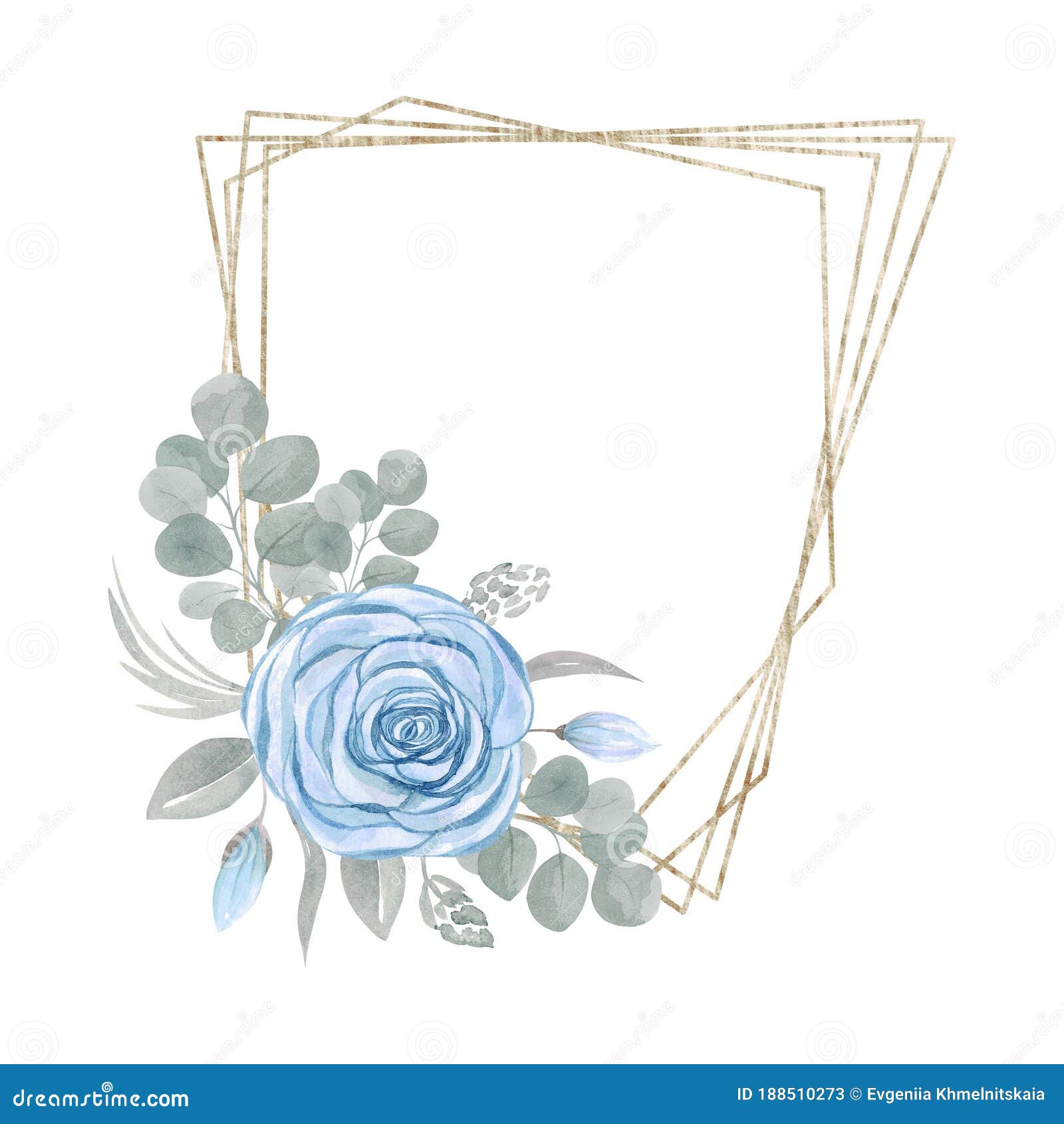 白色背景上隔开叶枝的蓝玫瑰花几何三角形排花金框库存图片 图片包括有看板卡 玻色子 开花的 编排者 白色背景上隔开叶枝的蓝玫瑰花几何三角形排花金框库存图片 图片包括有看板卡 玻色子 开花的 编排者