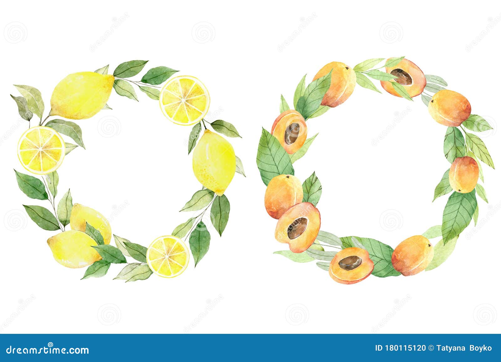 白色背景中的夏季花园婚礼花圈库存例证 插画包括有自然 框架 现有量 本质 问候 邀请 白色背景中的夏季花园婚礼花圈库存例证 插画包括有自然 框架 现有量 本质 问候 邀请