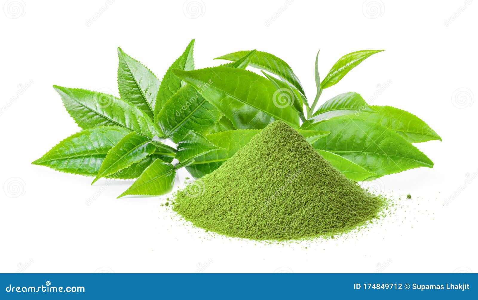 白色背景中的抹茶粉绿茶叶库存照片 图片包括有打赌的人 新鲜 增长 成份 背包 宏指令