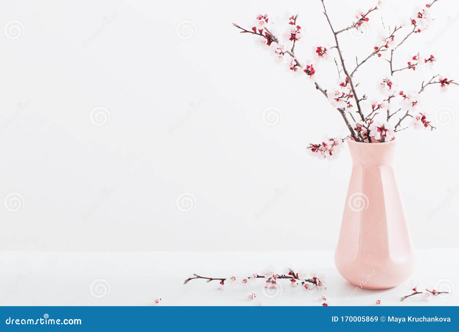 白色背景中的花瓶樱花枝库存图片 图片包括有生活 季节 春天 任意 本质 叶子 复活节 白色背景中的花瓶樱花枝库存图片 图片包括有生活 季节 春天 任意 本质 叶子 复活节