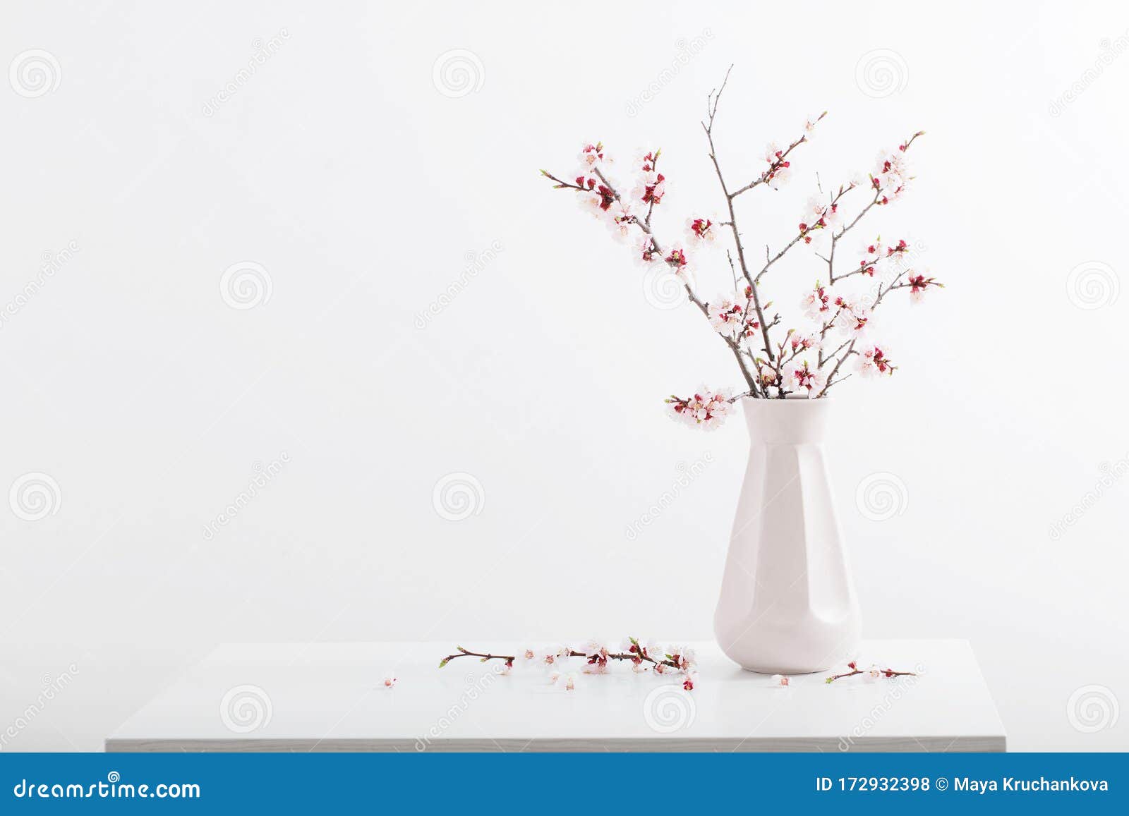 白色背景中的花瓶樱花枝库存照片 图片包括有工厂 本质 复制 新鲜 生气勃勃 背包 叶子 白色背景中的花瓶樱花枝库存照片 图片包括有工厂 本质 复制 新鲜 生气勃勃 背包 叶子