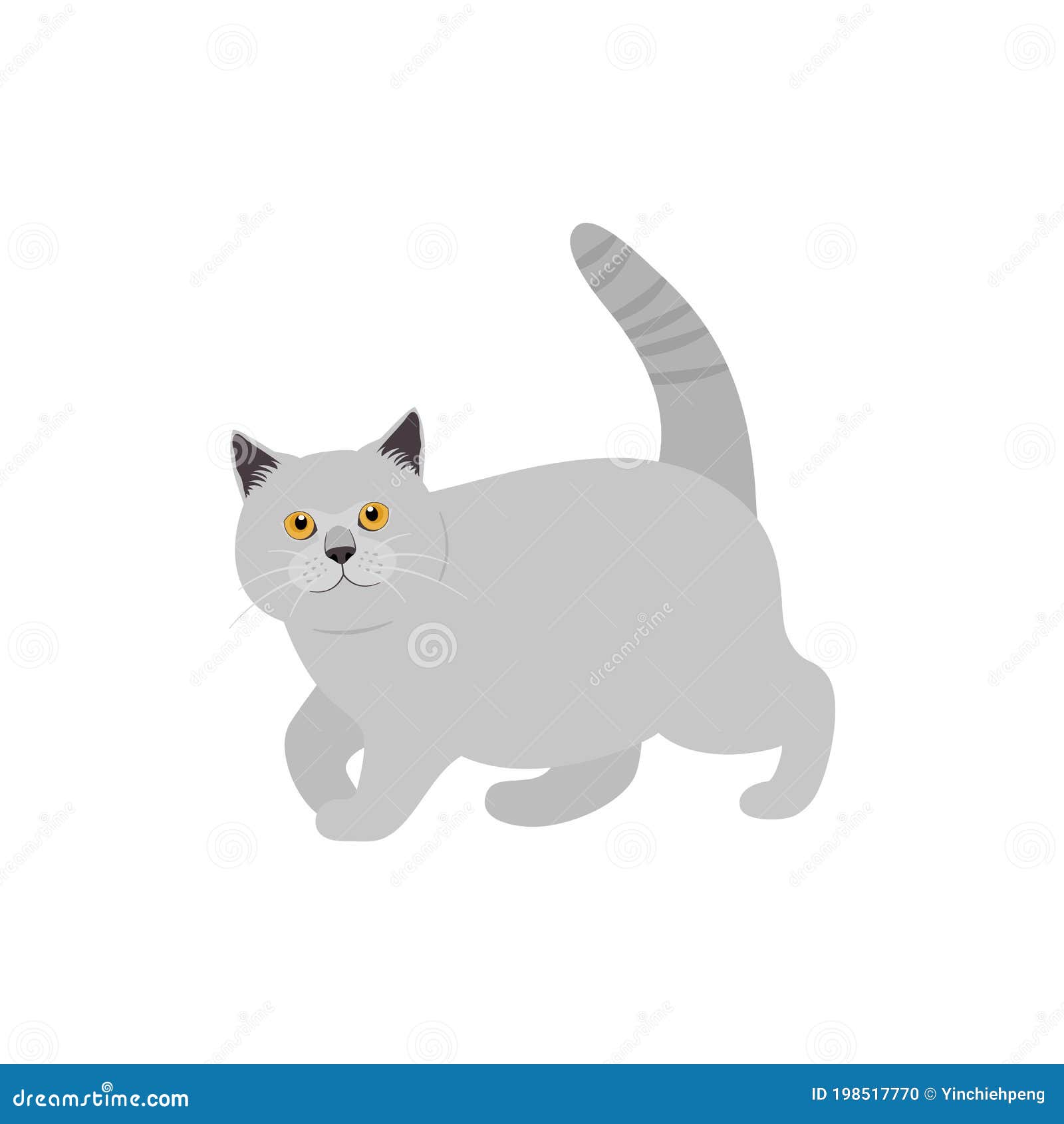 白色背景中的英国短吻猫 卡通猫咪图标矢量图 手绘幼儿矢量图 向量例证 插画包括有查出 毛皮 白色背景中的英国短吻猫 卡通猫咪图标矢量图 手绘幼儿矢量图 向量例证 插画包括有查出 毛皮
