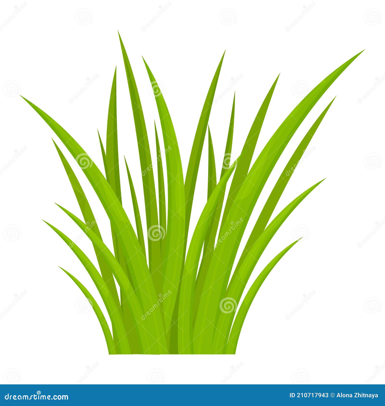白色背景中突显的卡通风格亮草本绿草 季节天然野生植物设计元素游戏资产向量例证 插画包括有装饰 植物群