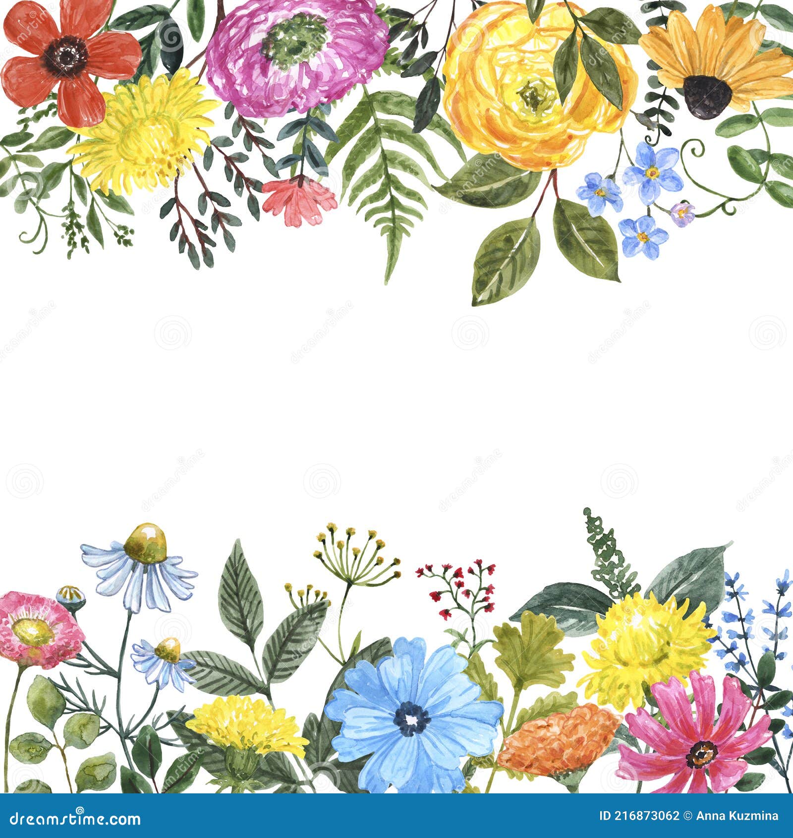 白色背景中突显的手绘夏草甸野花草叶的水色花框 库存例证 插画包括有查出 艺术 本质 框架