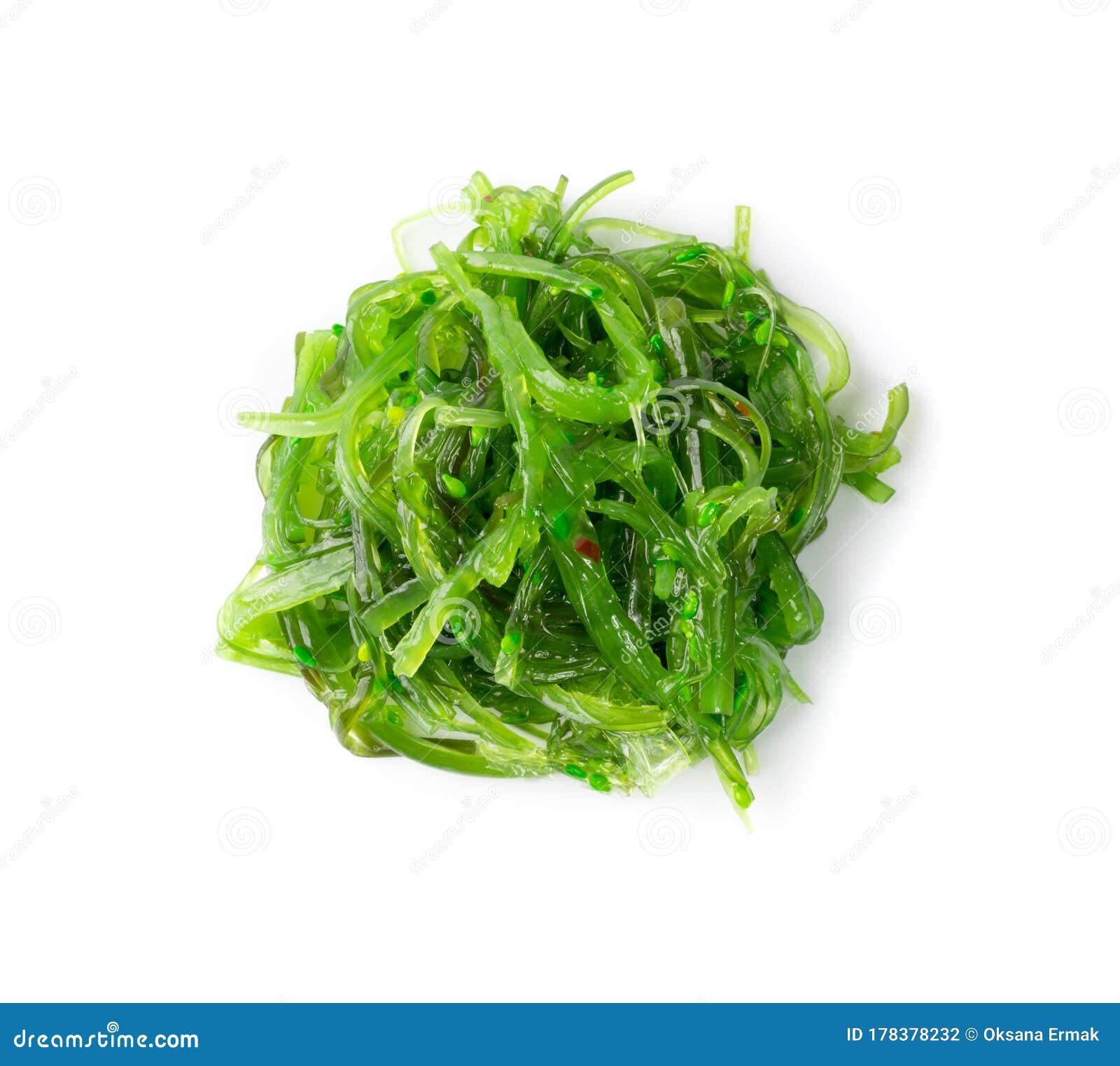 白色背景中突显的楚卡海藻沙拉库存照片 图片包括有绿色 可食 工厂 有机 投反对票 海草 白色背景中突显的楚卡海藻沙拉库存照片 图片包括有绿色 可食 工厂 有机 投反对票 海草