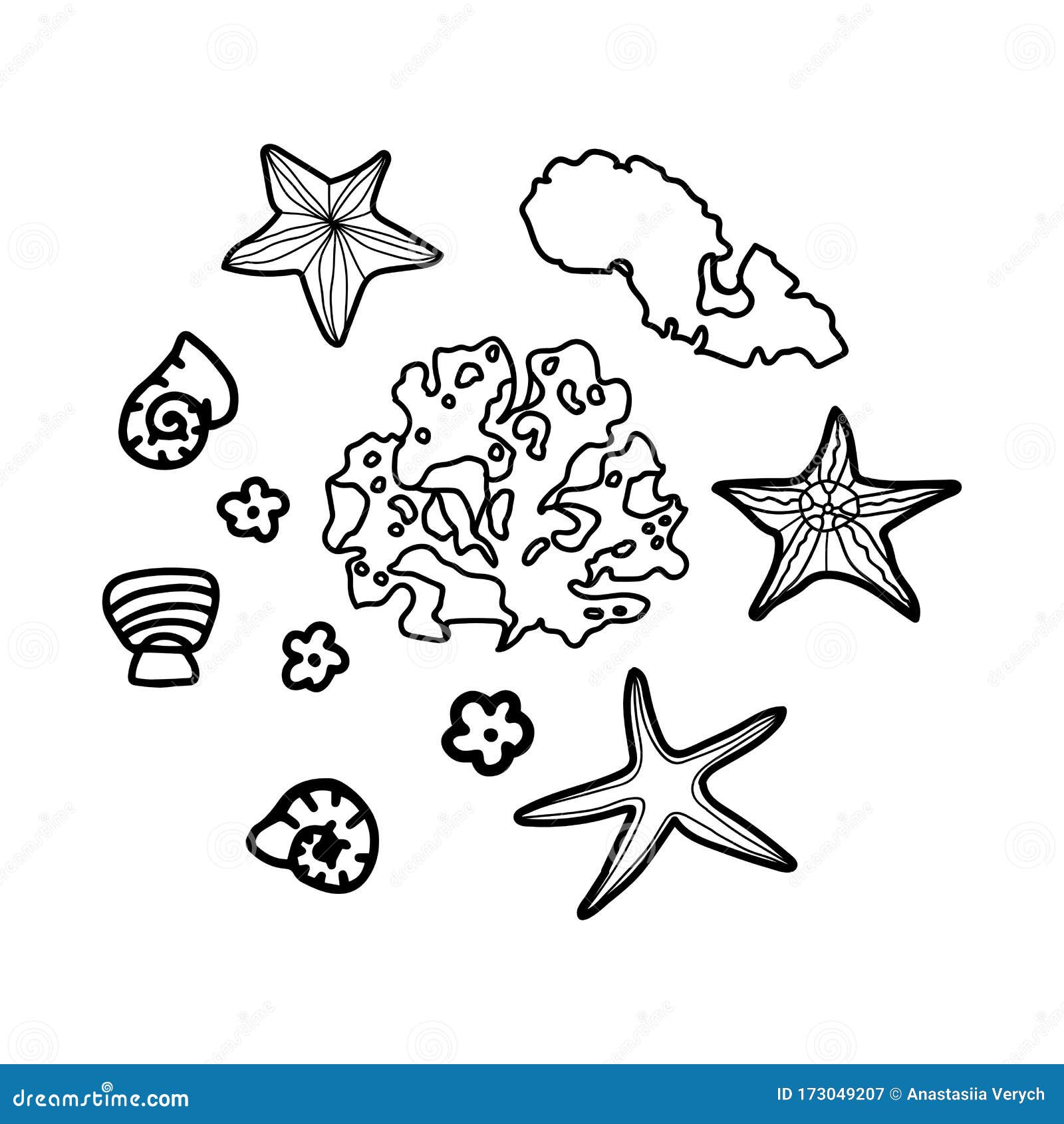白色背景中突显的涂鸦风格的海藻 海星 贝壳水下矢量轮廓图库存例证 插画包括有贝类 海草