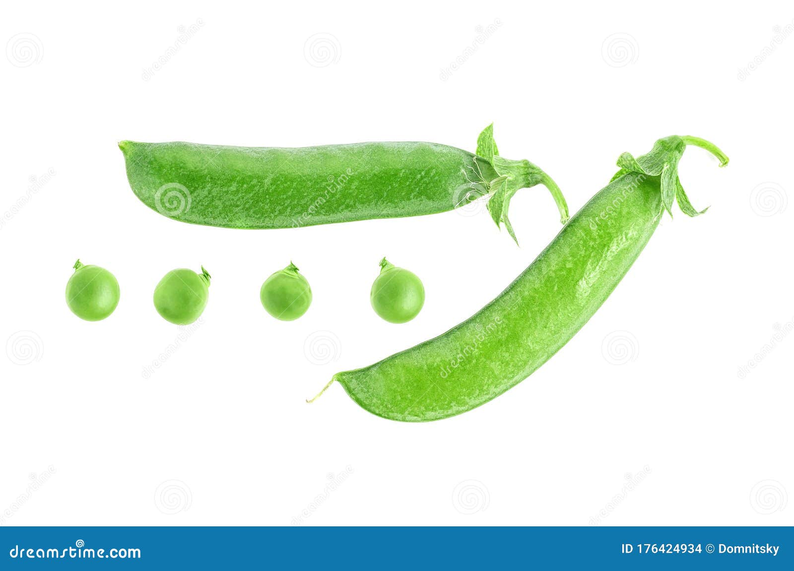 白色背景中鲜绿豌豆荚和豌豆的顶视图库存照片 图片包括有节食 营养 本质 增长 查出 豌豆 白色背景中鲜绿豌豆荚和豌豆的顶视图库存照片 图片包括有节食 营养 本质 增长 查出 豌豆
