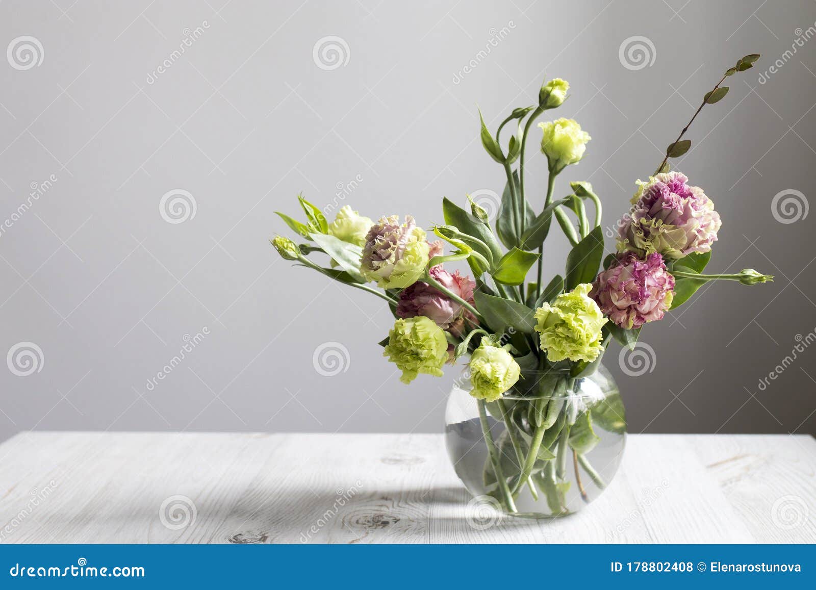 白色背景透明圆形花瓶中青红梅和桉树枝花束新娘花库存照片 图片包括有新鲜 高雅 庭院 没人 白色背景透明圆形花瓶中青红梅和桉树枝花束新娘花库存照片 图片包括有新鲜 高雅 庭院 没人