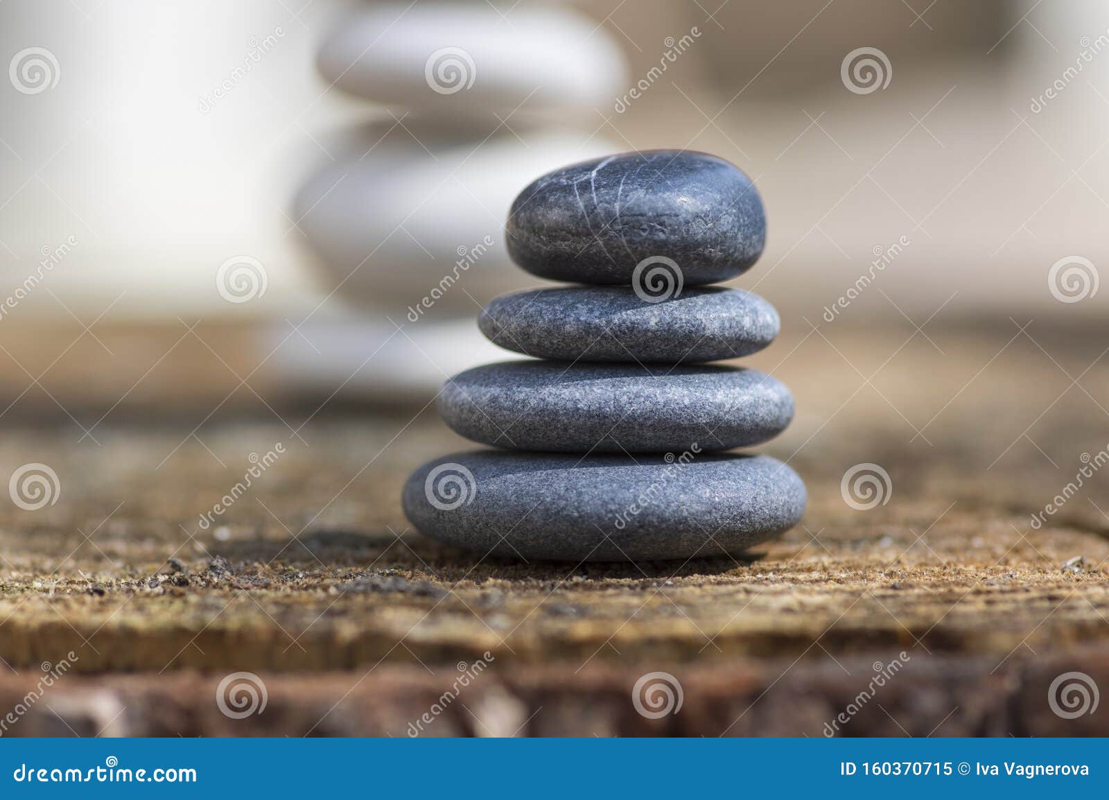 白色黑石头椅 棕色自然背景前木桩上轻石平稳 像禅一样 和谐平衡库存图片 图片包括有石头 灰色 白色黑石头椅 棕色自然背景前木桩上轻石平稳 像禅一样 和谐平衡库存图片 图片包括有石头 灰色