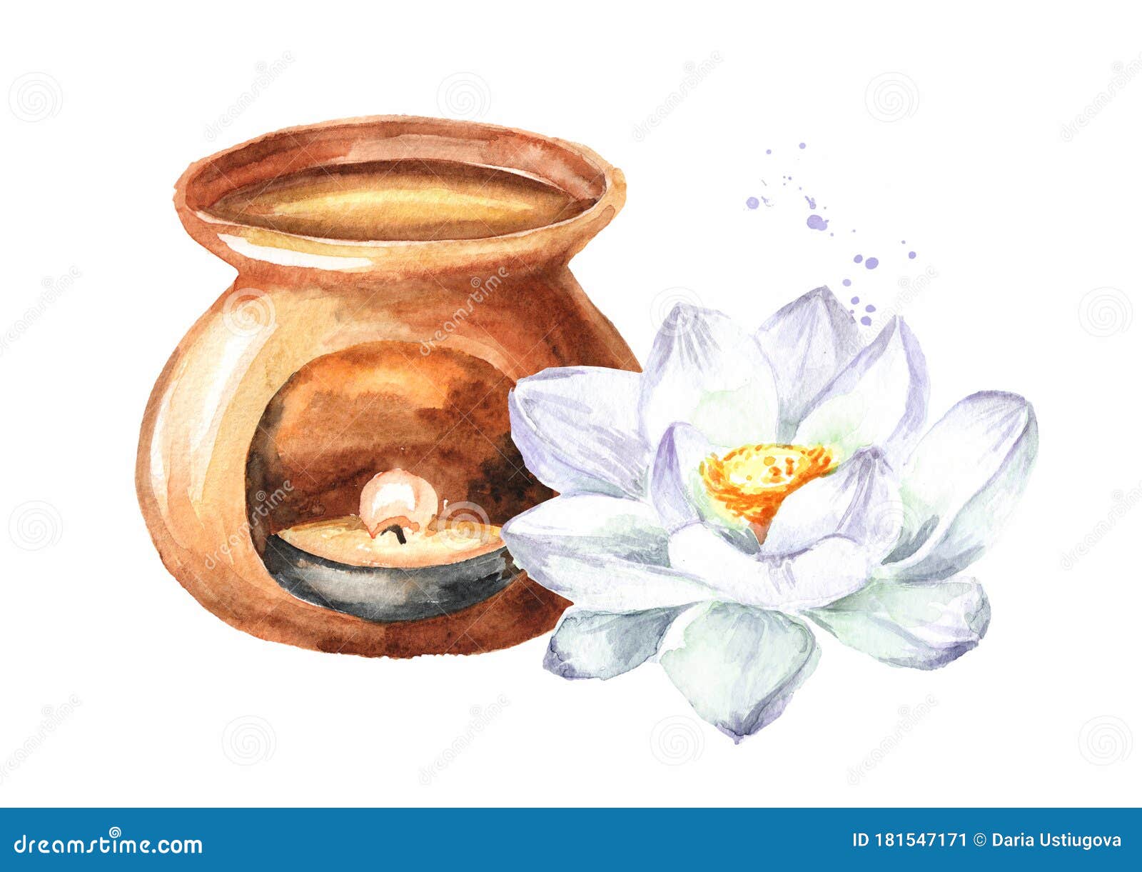 白莲花香灯白背景中突显的手绘植物水彩图库存例证 插画包括有新鲜 草本 化妆用品 石油 自然 白莲花香灯白背景中突显的手绘植物水彩图库存例证 插画包括有新鲜 草本 化妆用品 石油 自然