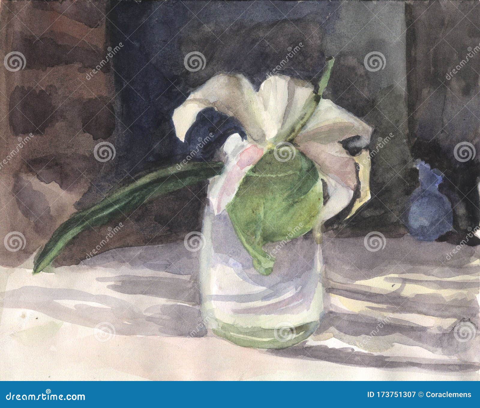 百合花插在玻璃杯里水彩库存例证 插画包括有背包 空白 水彩 透明 玻璃 百合 绘画 百合花插在玻璃杯里水彩库存例证 插画包括有背包 空白 水彩 透明 玻璃 百合 绘画