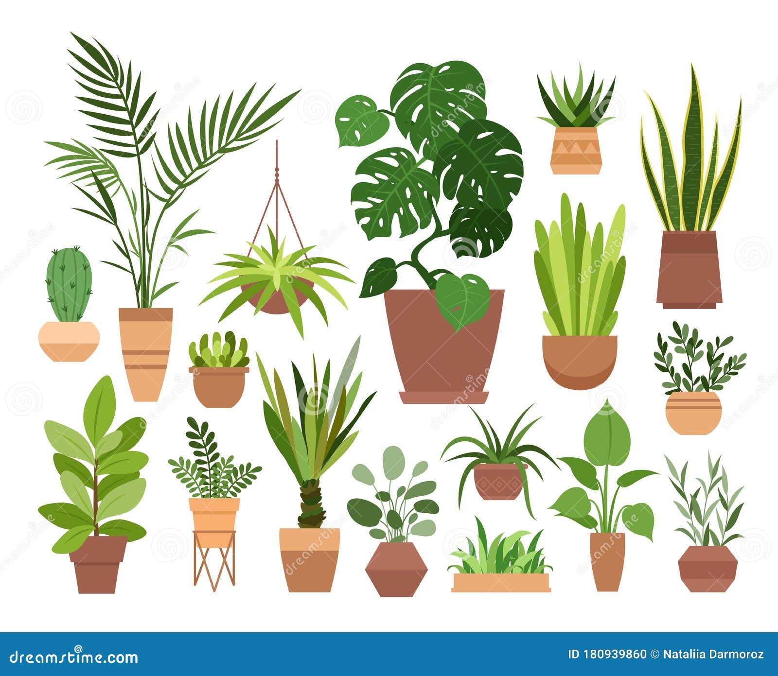 盆栽矢量图集 卡通平面不同室内盆栽装饰室内植物向量例证 插画包括有内部 容器 灌木 查出