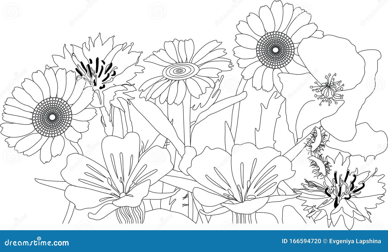 着色本上的花库存例证 插画包括有普遍 享用 放松 思考 钉书匠 图画 着色 工作 着色本上的花库存例证 插画包括有普遍 享用 放松 思考 钉书匠 图画 着色 工作