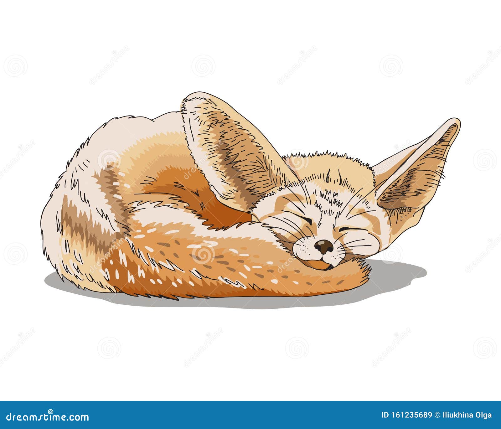 睡着的小狐狸画大耳朵的狐狸库存例证 插画包括有孩子 字符 破擦声 毛皮 狐狸 婴孩 睡着的小狐狸画大耳朵的狐狸库存例证 插画包括有孩子 字符 破擦声 毛皮 狐狸 婴孩