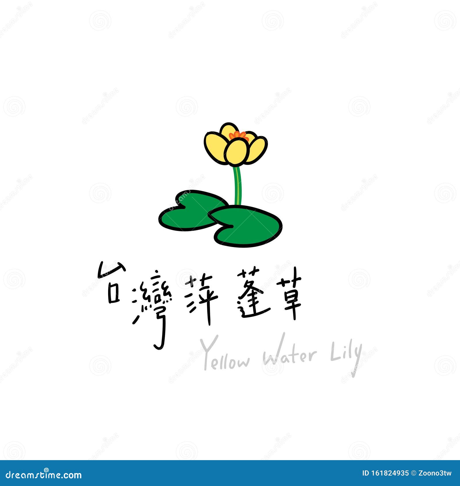 矢量图手绘黄百合向量例证 插画包括有黄色 台湾 百合 称谓 向量 种类 现有量 英语 矢量图手绘黄百合向量例证 插画包括有黄色 台湾 百合 称谓 向量 种类 现有量 英语