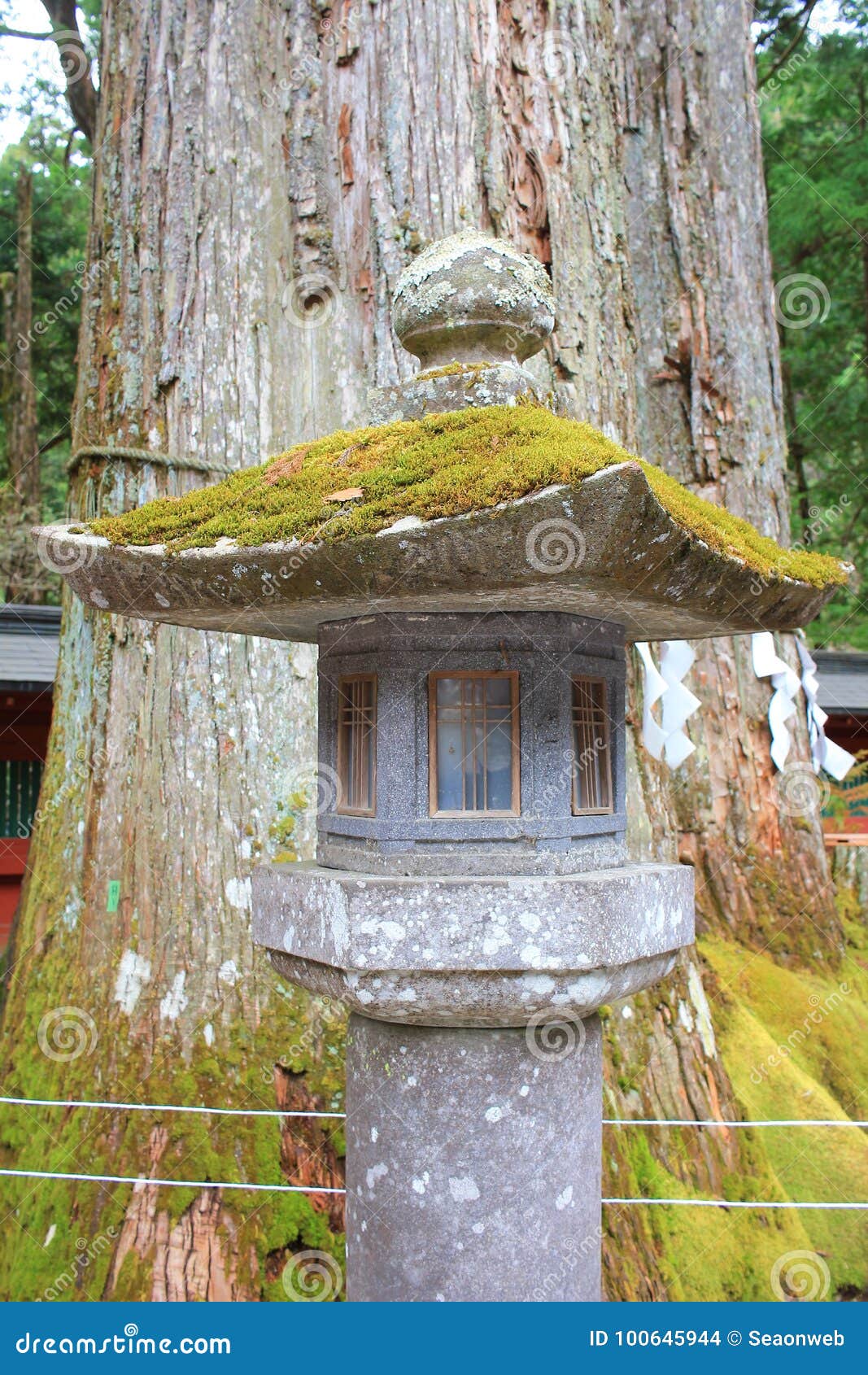 石灯在二荒山神社 日本编辑类库存图片 图片包括有闪亮指示 寺庙 日本 石头