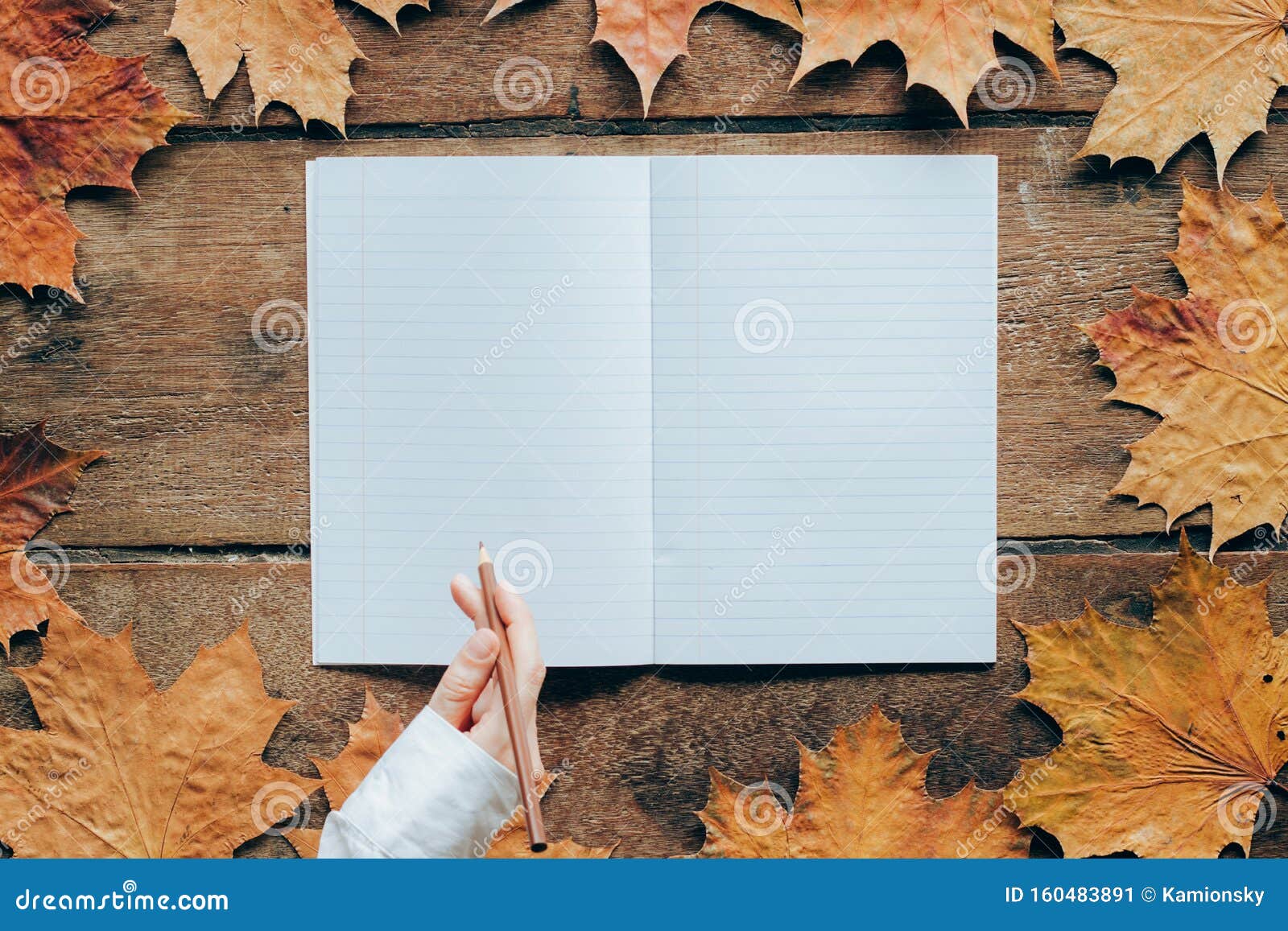 秋叶木背景 有女人的手和复印空间9月1日的壁纸库存图片 图片包括有9月1日的壁纸 秋叶木背景 有女人的手和复印空间